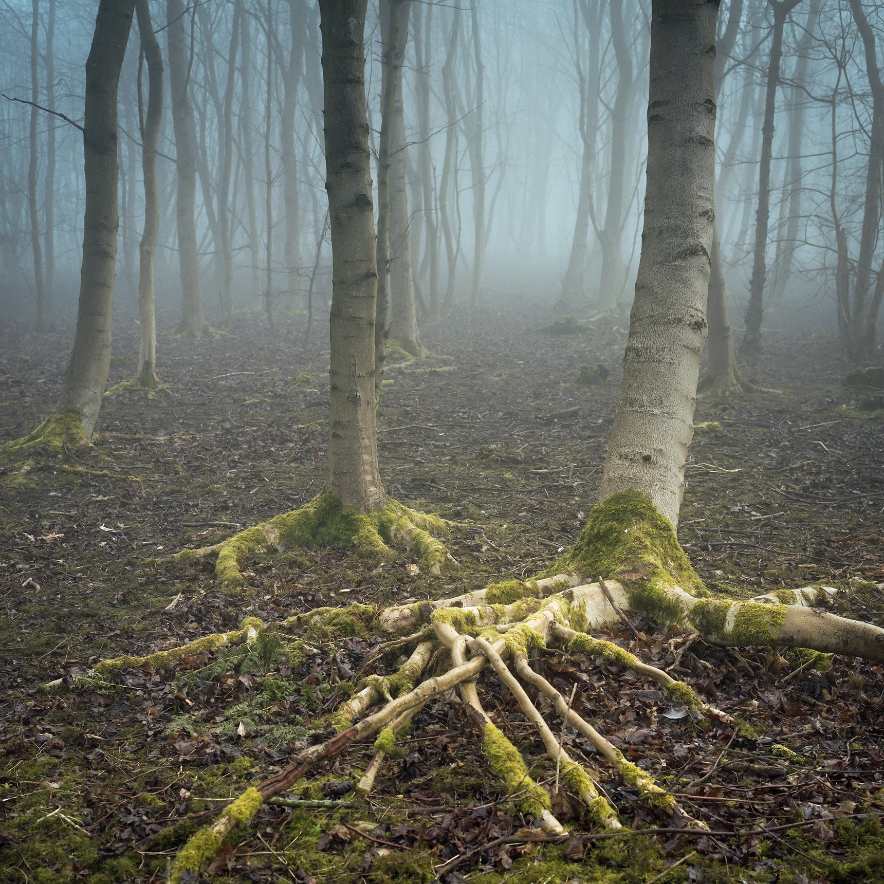 img205-Edit.jpg