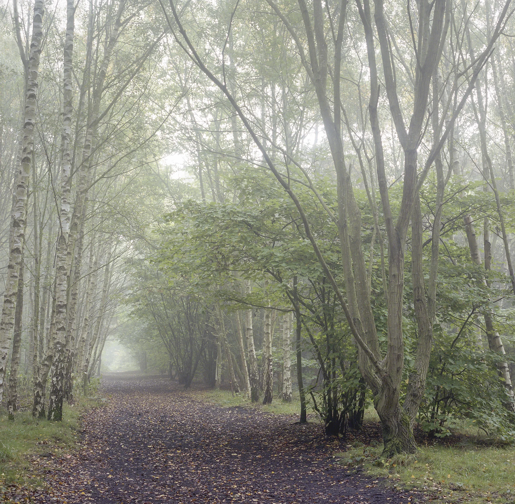 img408-Edit.jpg