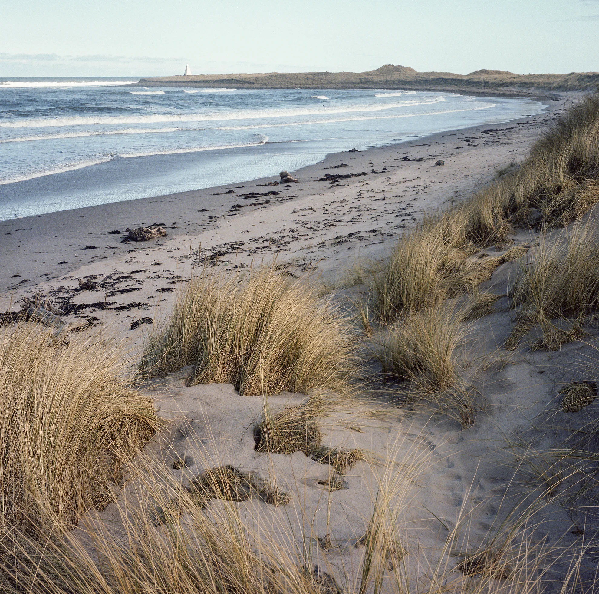 img475-Edit.jpg