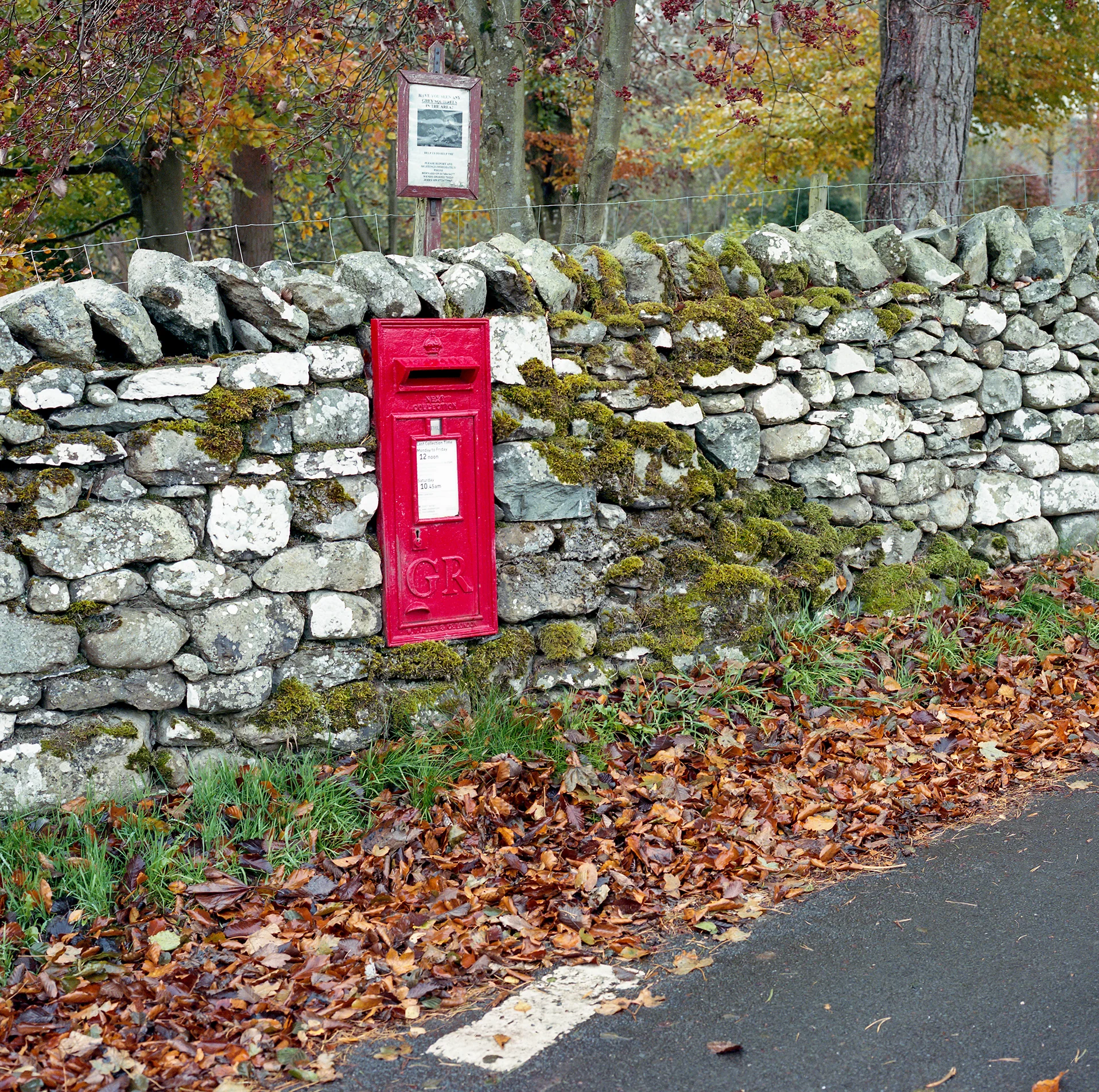 img536.jpg
