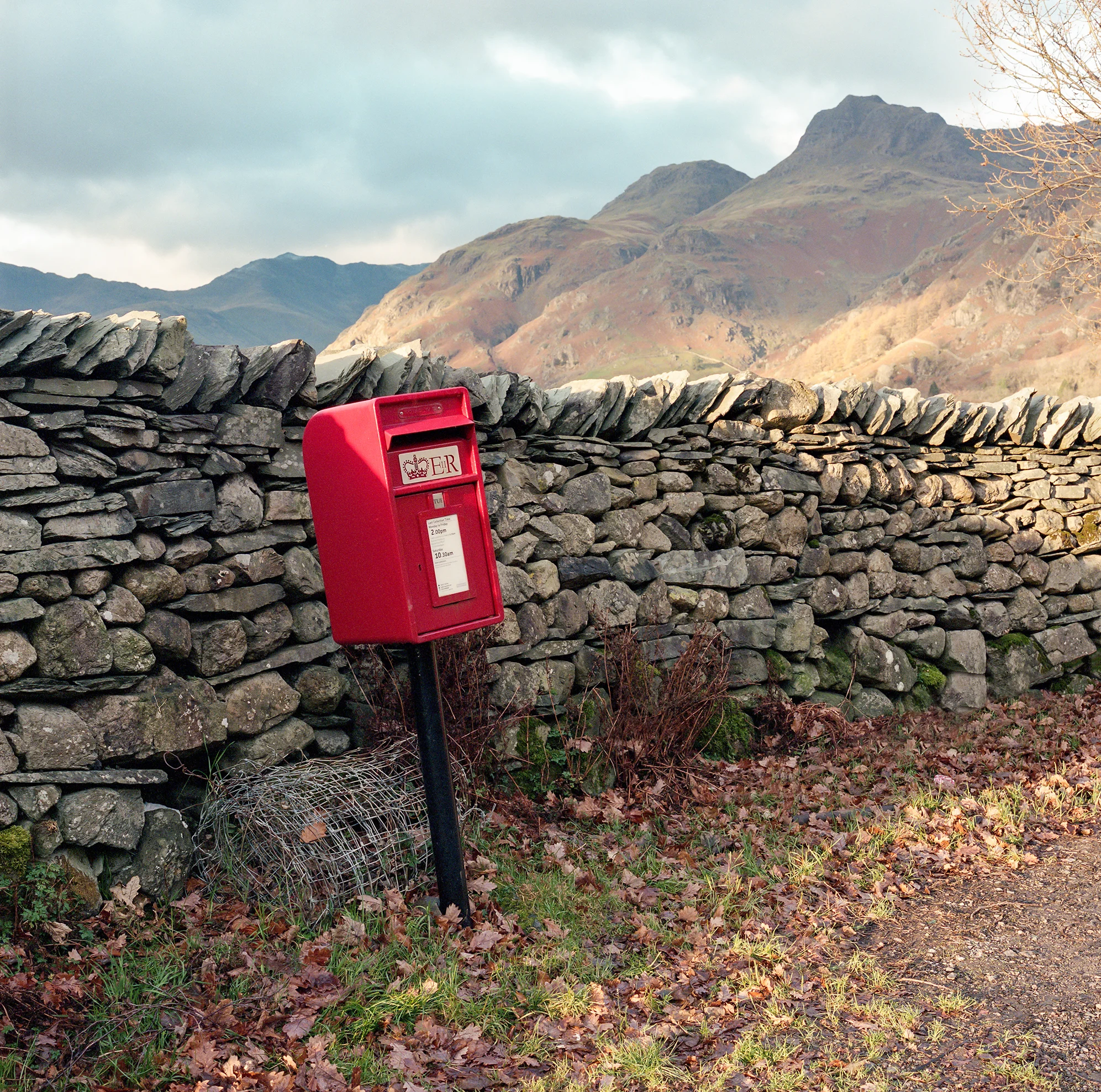 img538-Edit.jpg