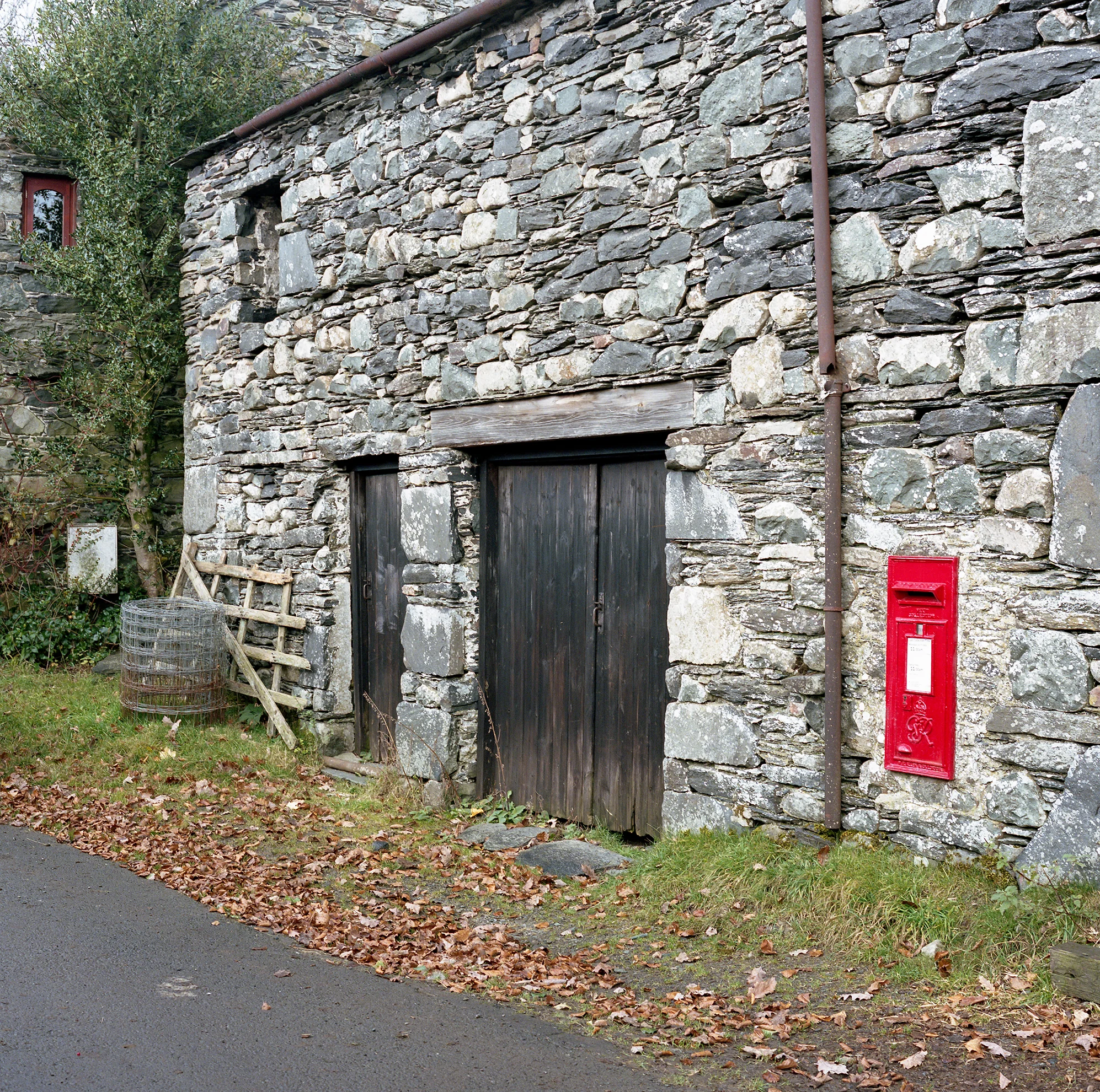 img554.jpg