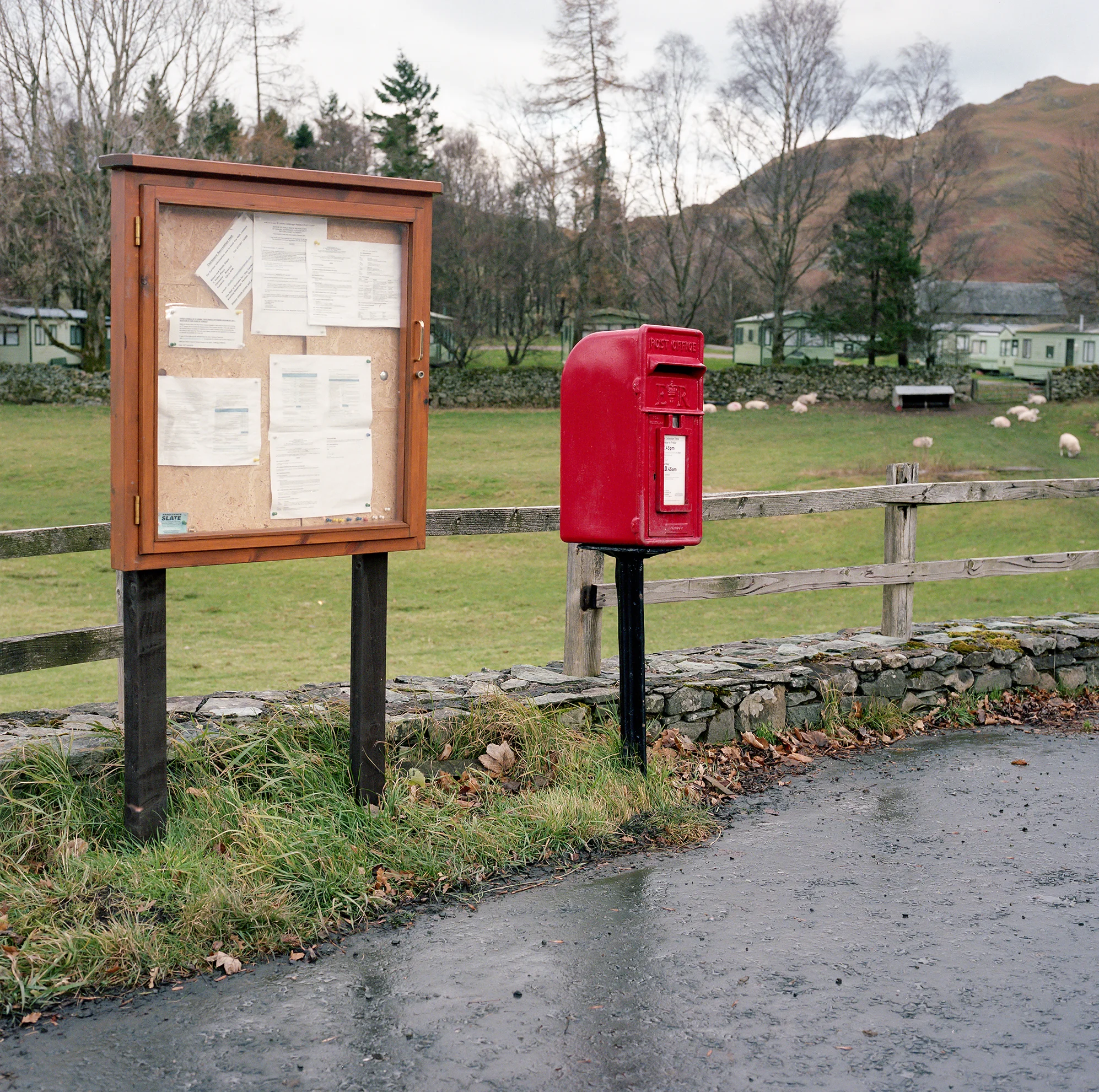 img557-Edit.jpg