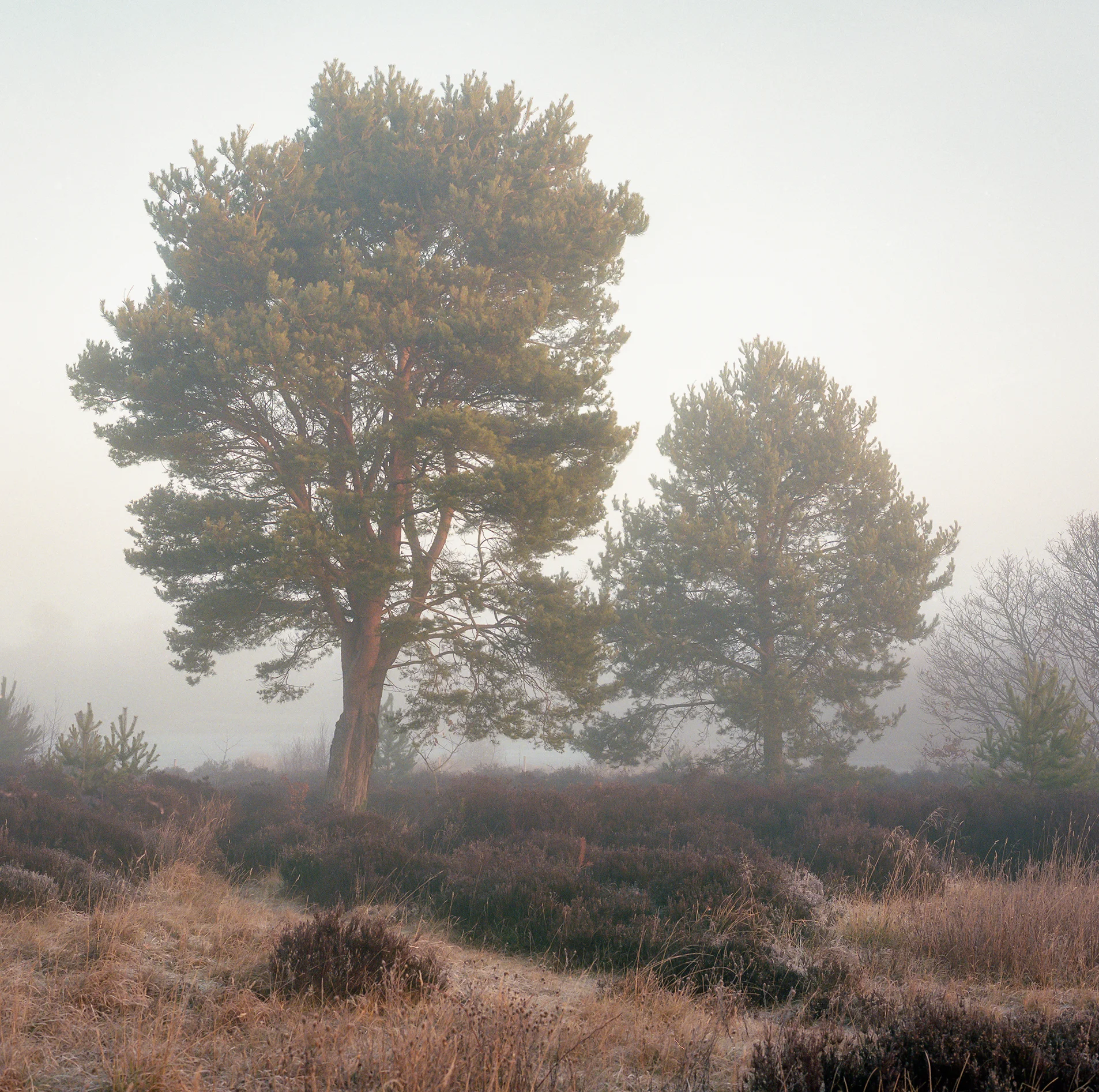 img569-Edit-2.jpg