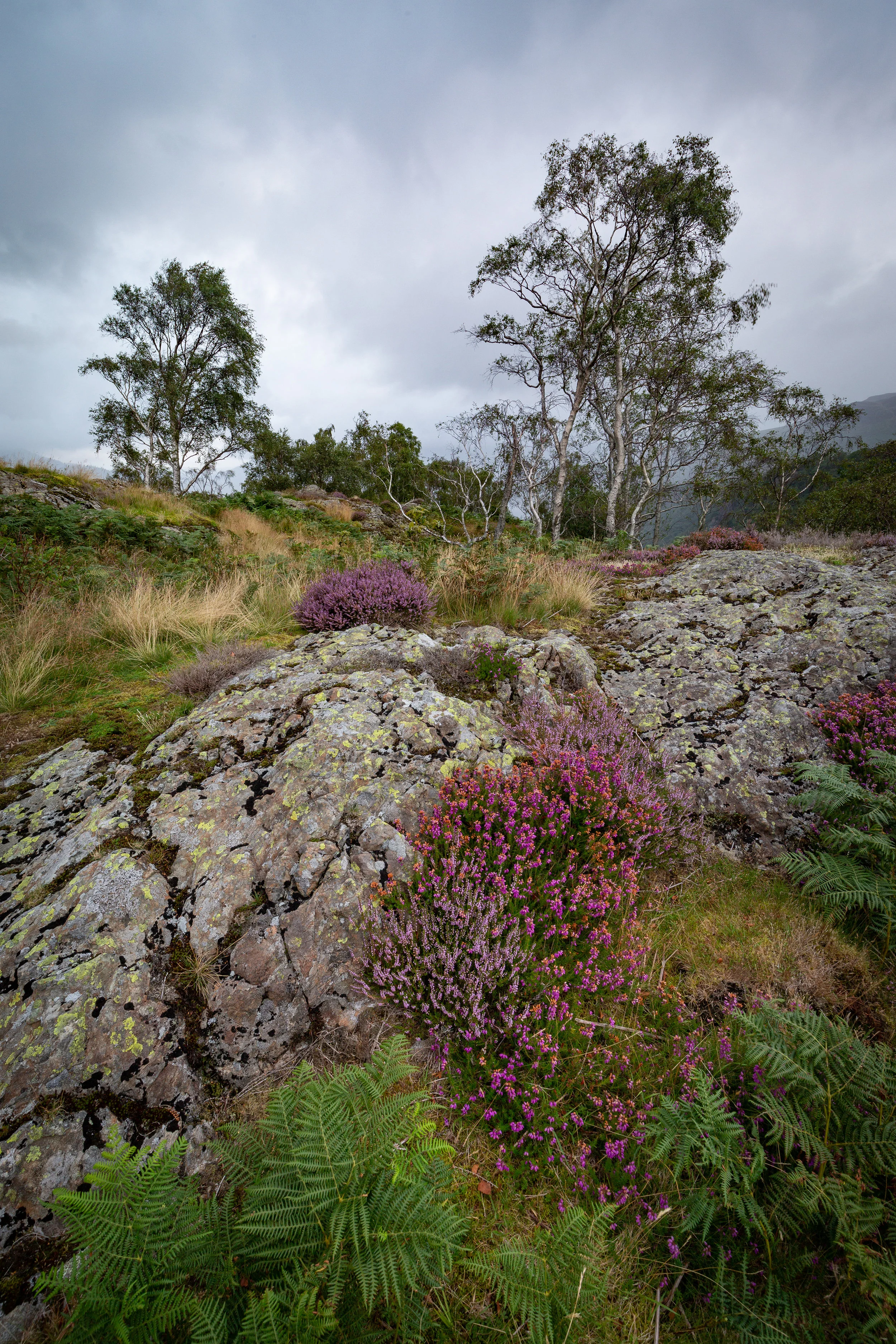 Shepherds Crag, Borrowdale