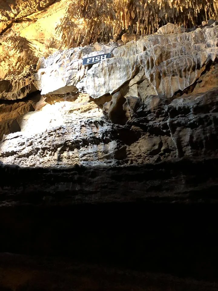 Ruby Falls Three.jpg