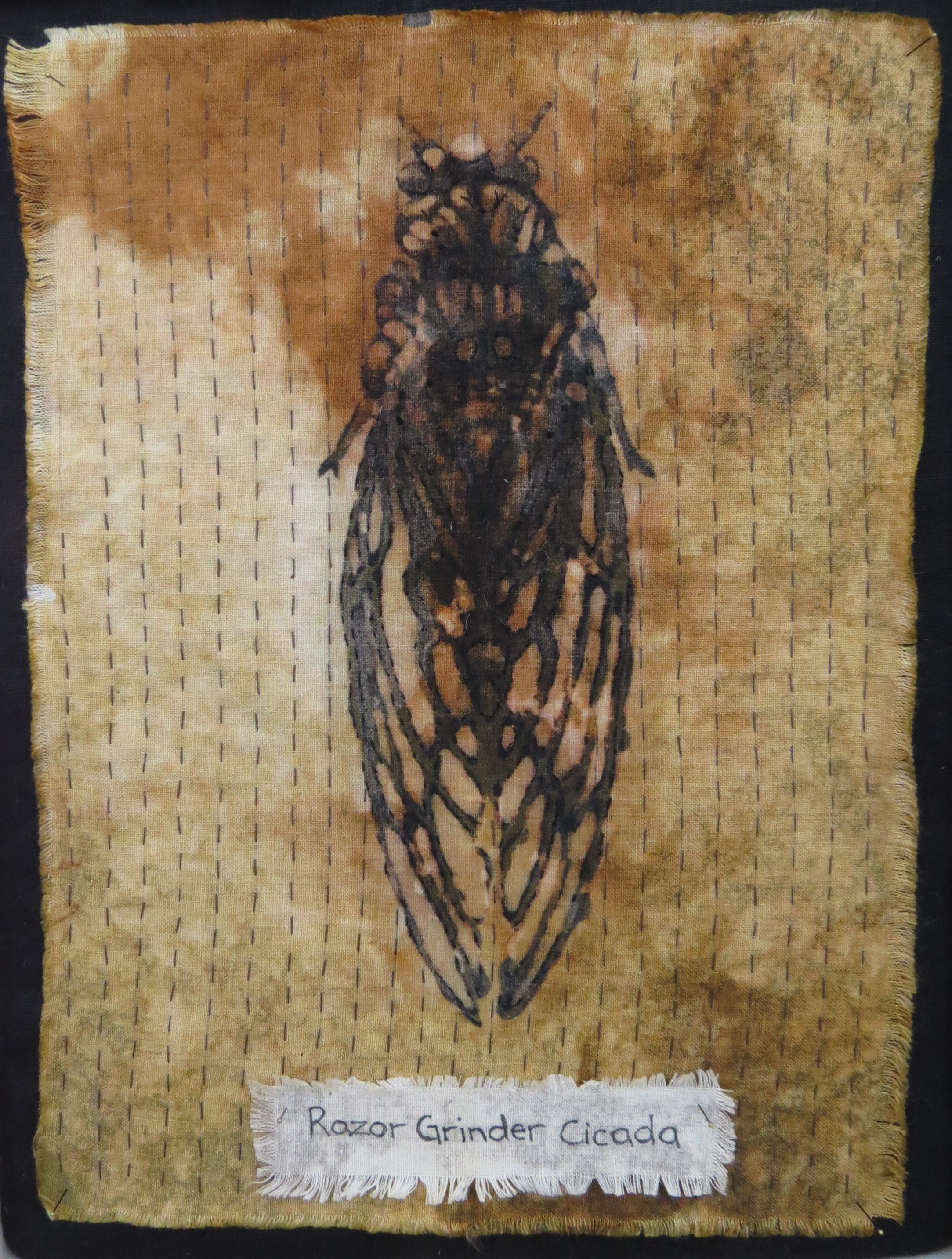 A Chorus of Cicadas: detail- Razor Grinder