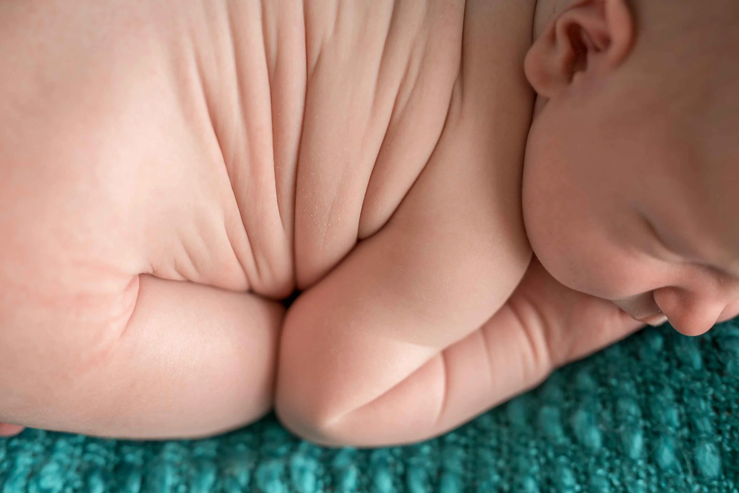 Newborn gallery-30.jpg