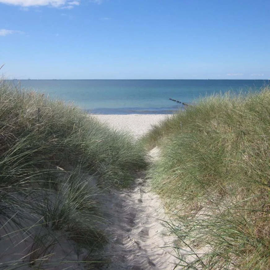 beach-boardwalkSQ.jpg