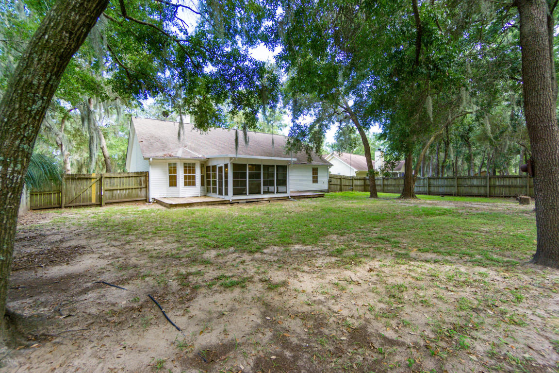 Backyard3.jpg