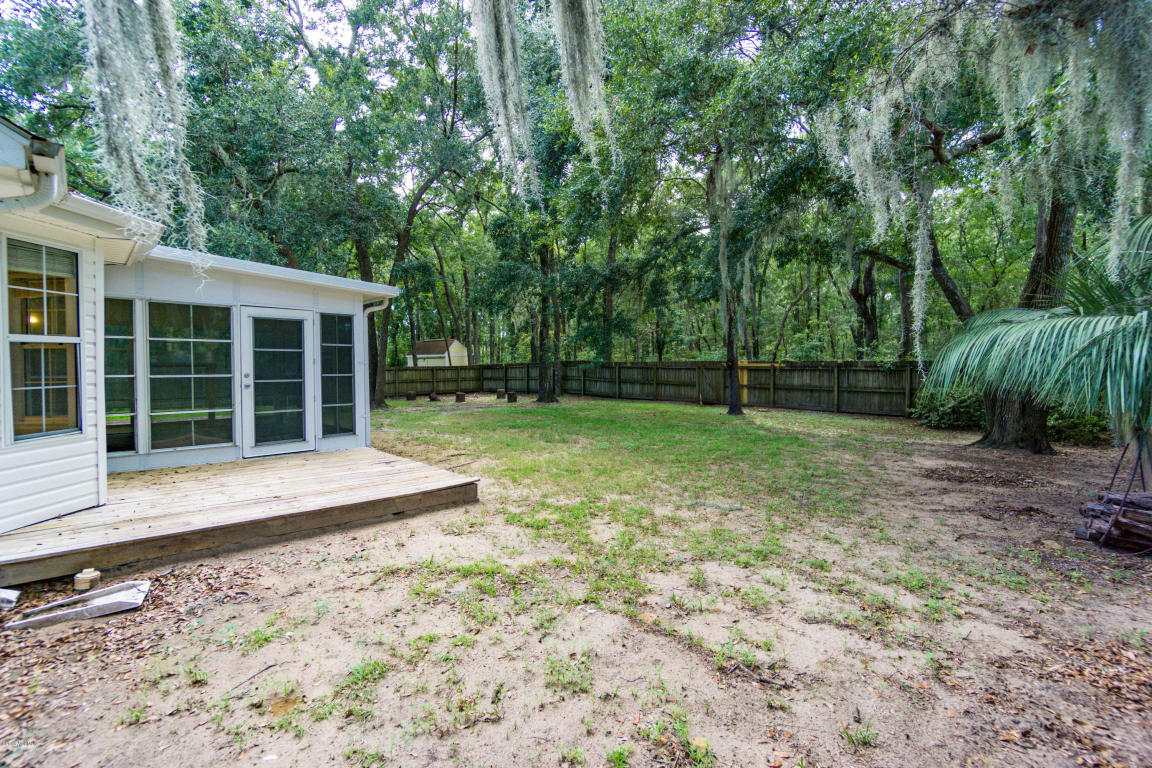 Backyard2.jpg