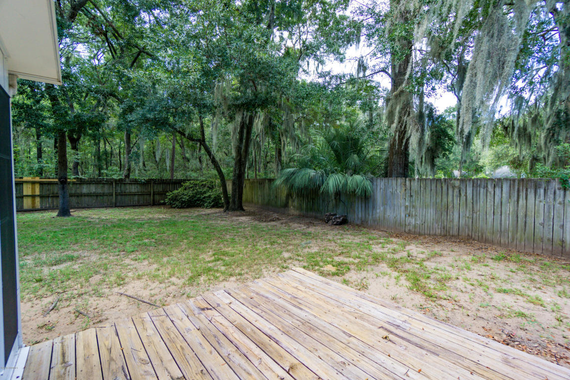 Backyard.jpg