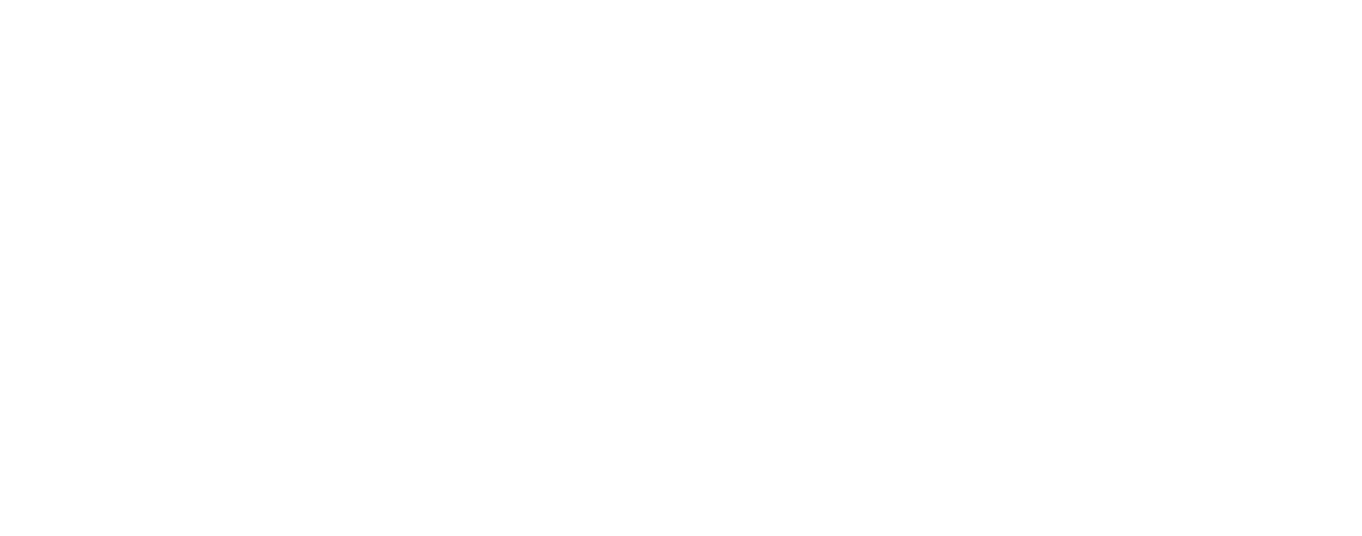 Resilience Initiative