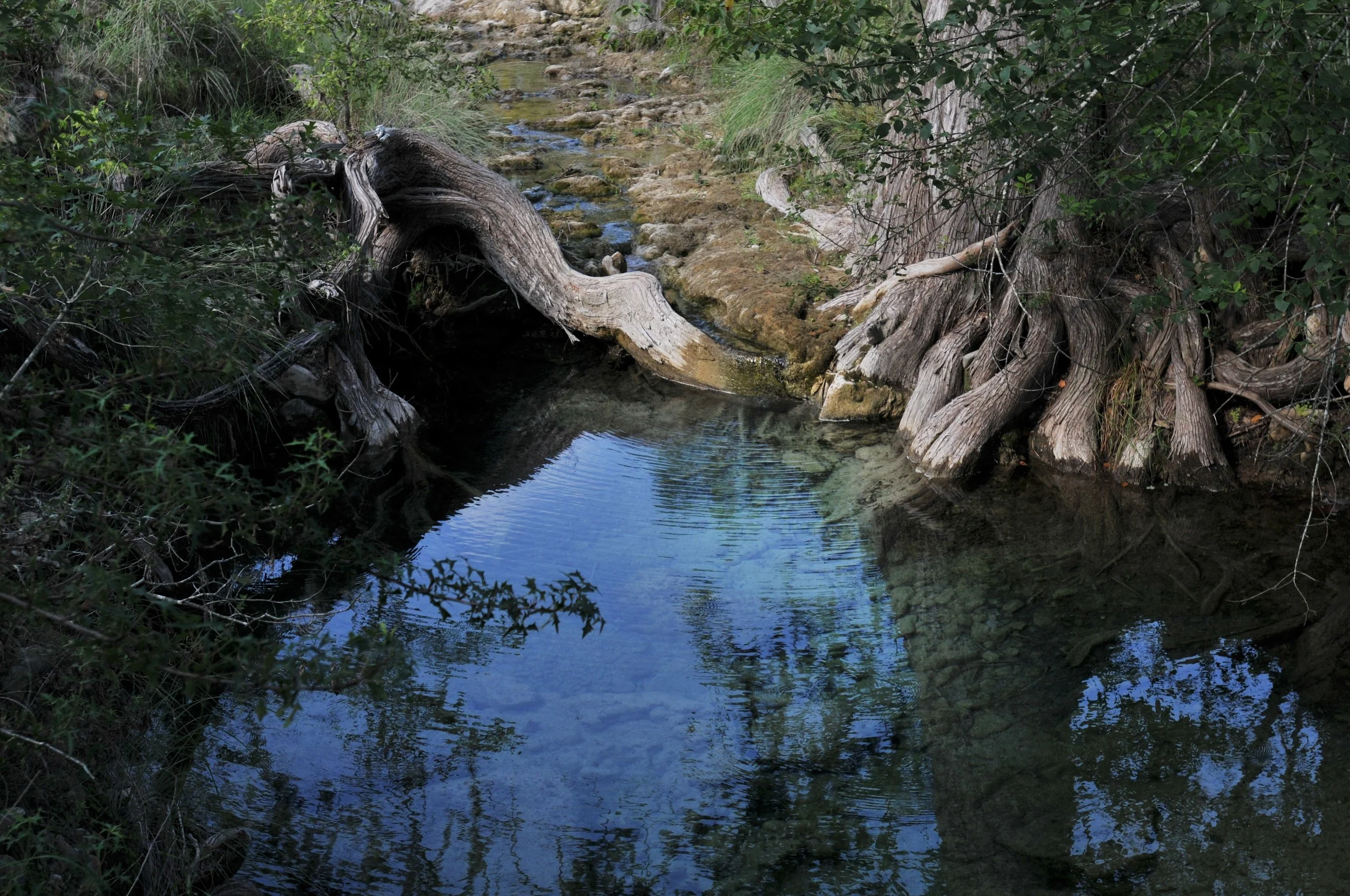 DSC_1749.JPG