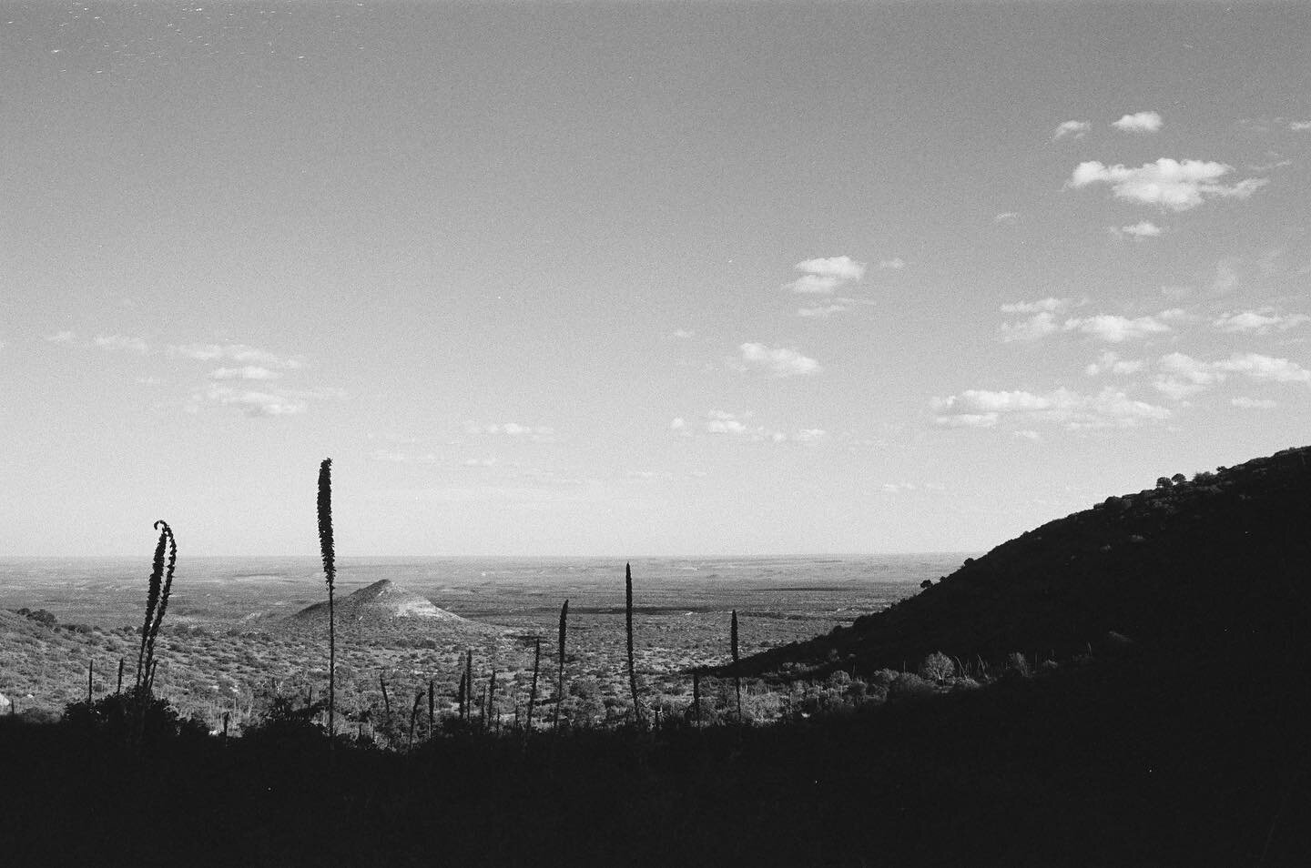 September road trip to the Guadalupe Mountains, the Lightning Field (no art just field), Albuquerque Balloon Fiesta, and bonus Marfa from our trip to the Agave Fest in June. 
.
.
#35mm
#kodaktrix