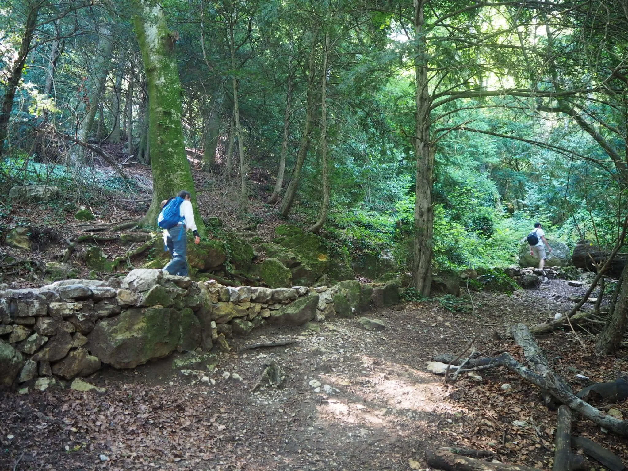 Hiking the King's Path to the Magdalene's Cave in La Sainte Baume
