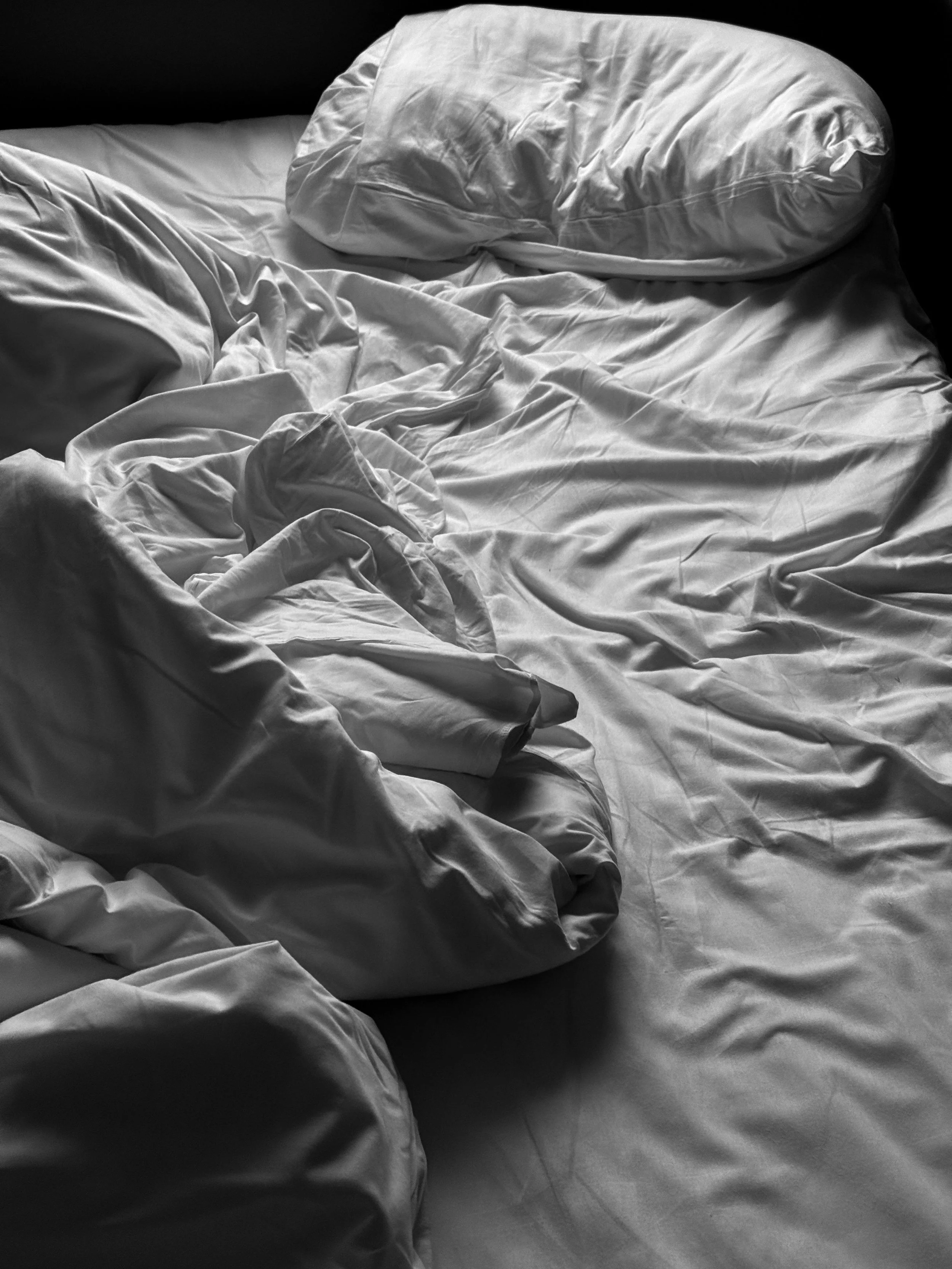 suspended from dreamland.jpg