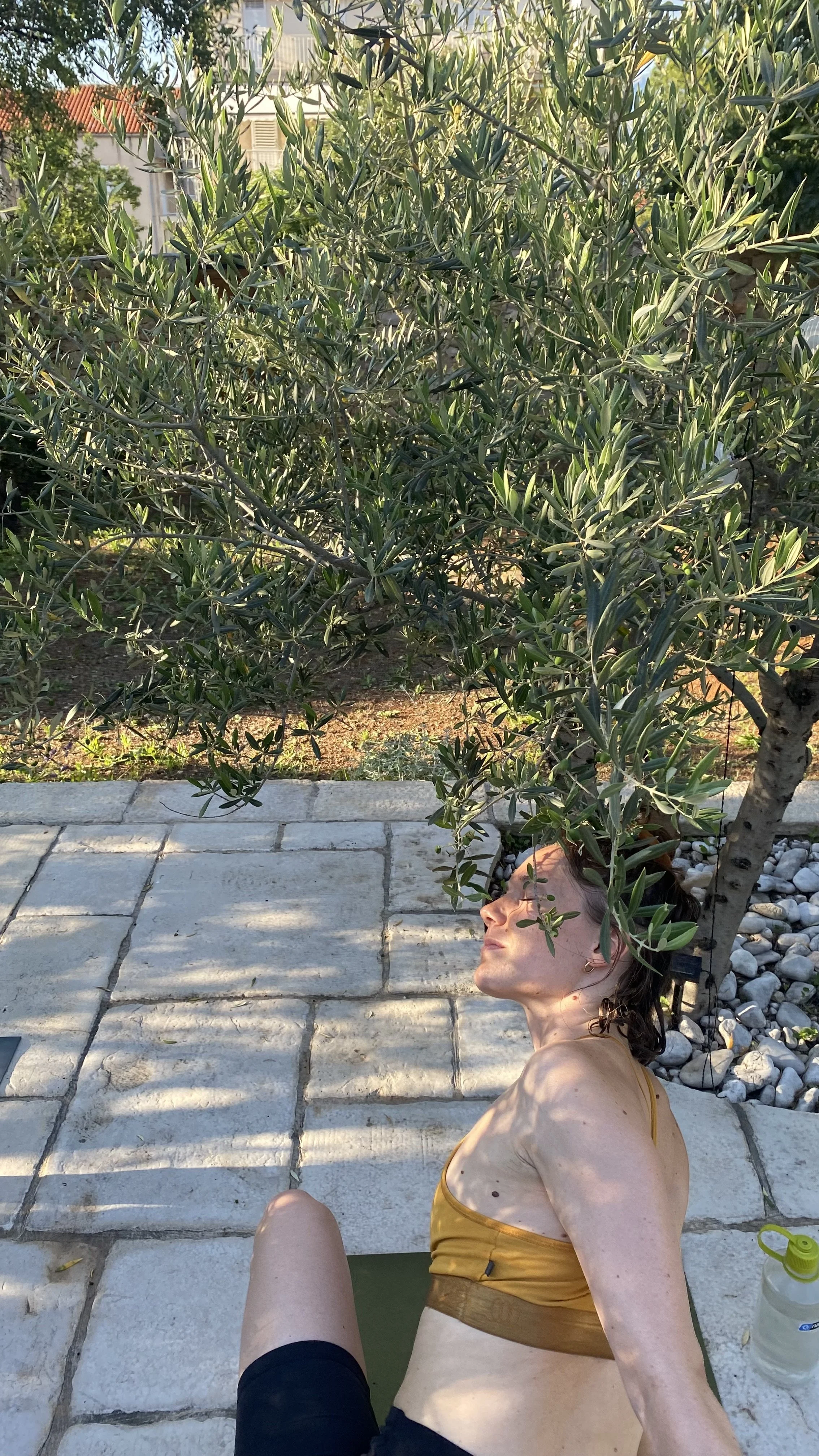 IMG_1486 3.jpeg