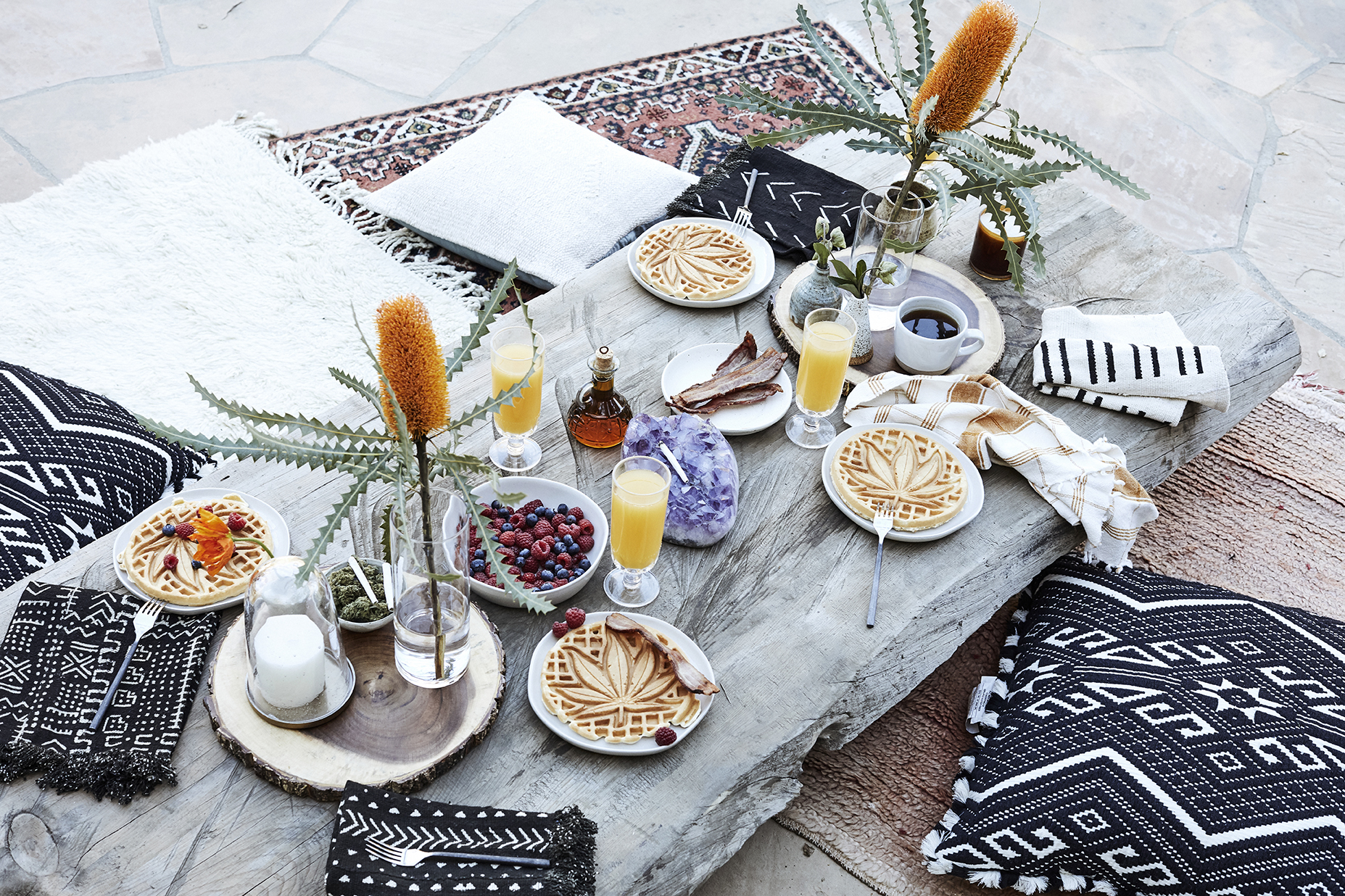 A healthy Canna-brunch I collaborated on with Waffleye featuring the tastiest AIP waffles!! Photo by Jenna Peffley for Waffleye