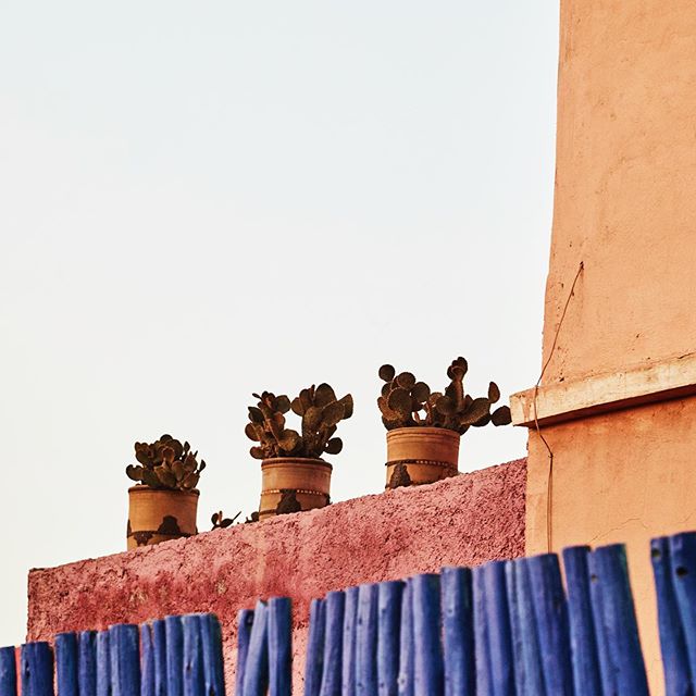 Marrakech - oh how I miss you and your beautiful colors! Outtake found on my phone from my adventure with @suzannewinstonandassociates and @sophiehaig