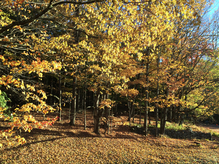 camp-workroom-social.jpg