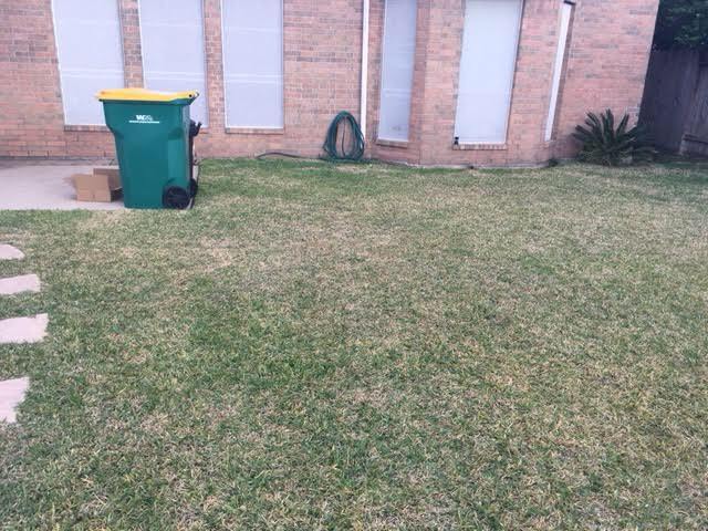 new Patio: Before
