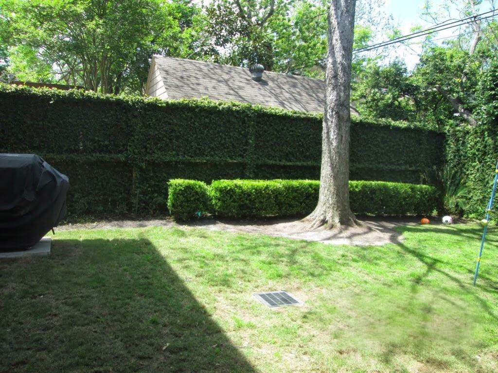 white play house: before