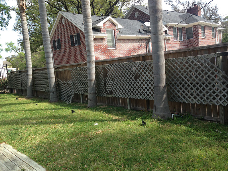 new fence: before