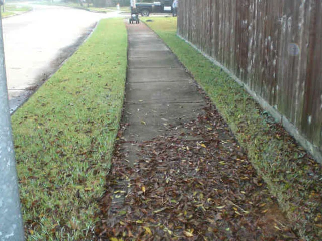 pressure wash: before
