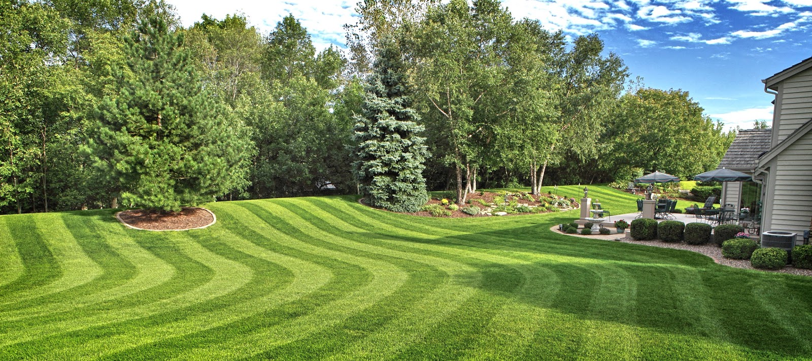 lawn maintenance.jpg