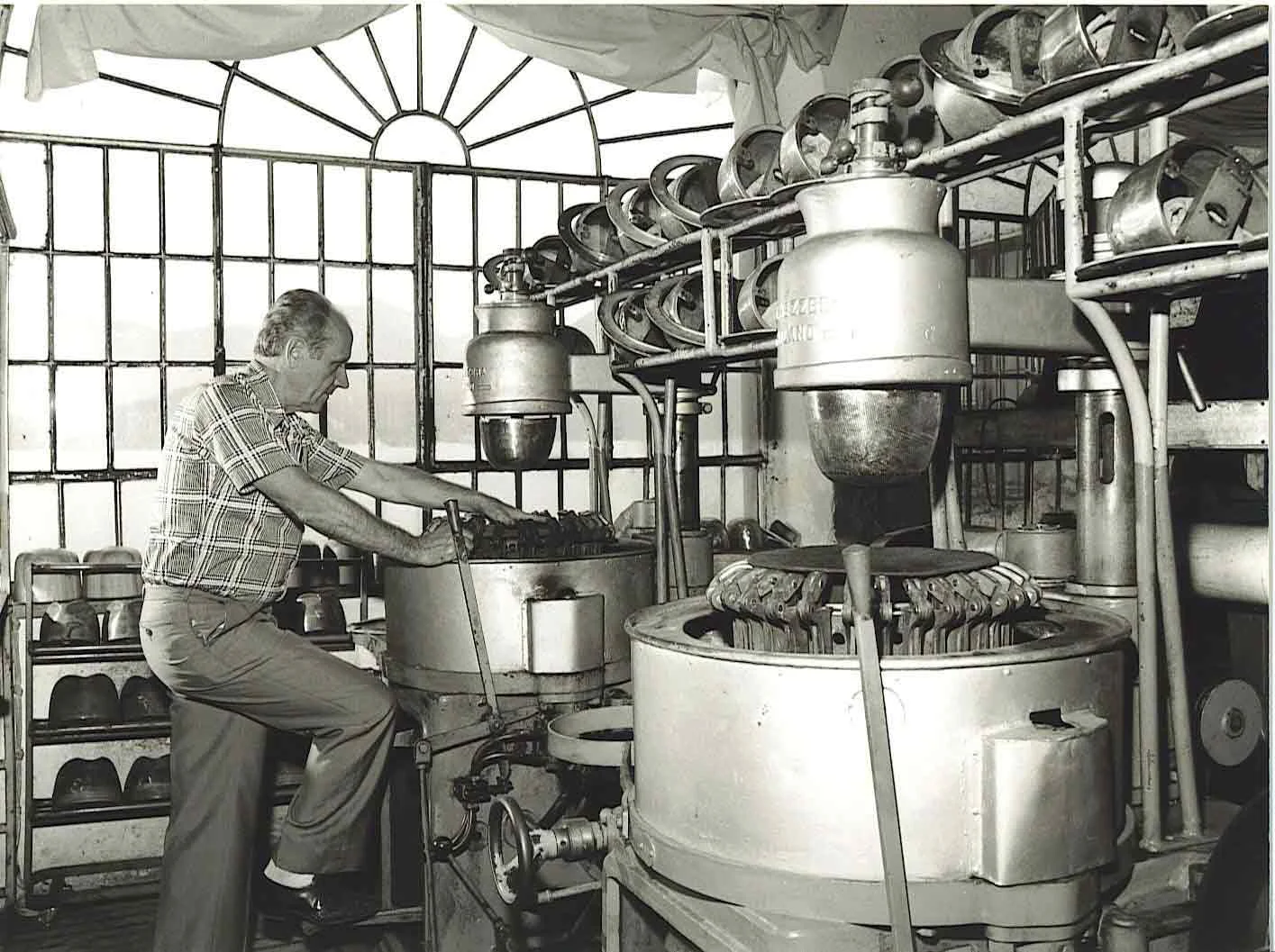 Processo di - Informatura -