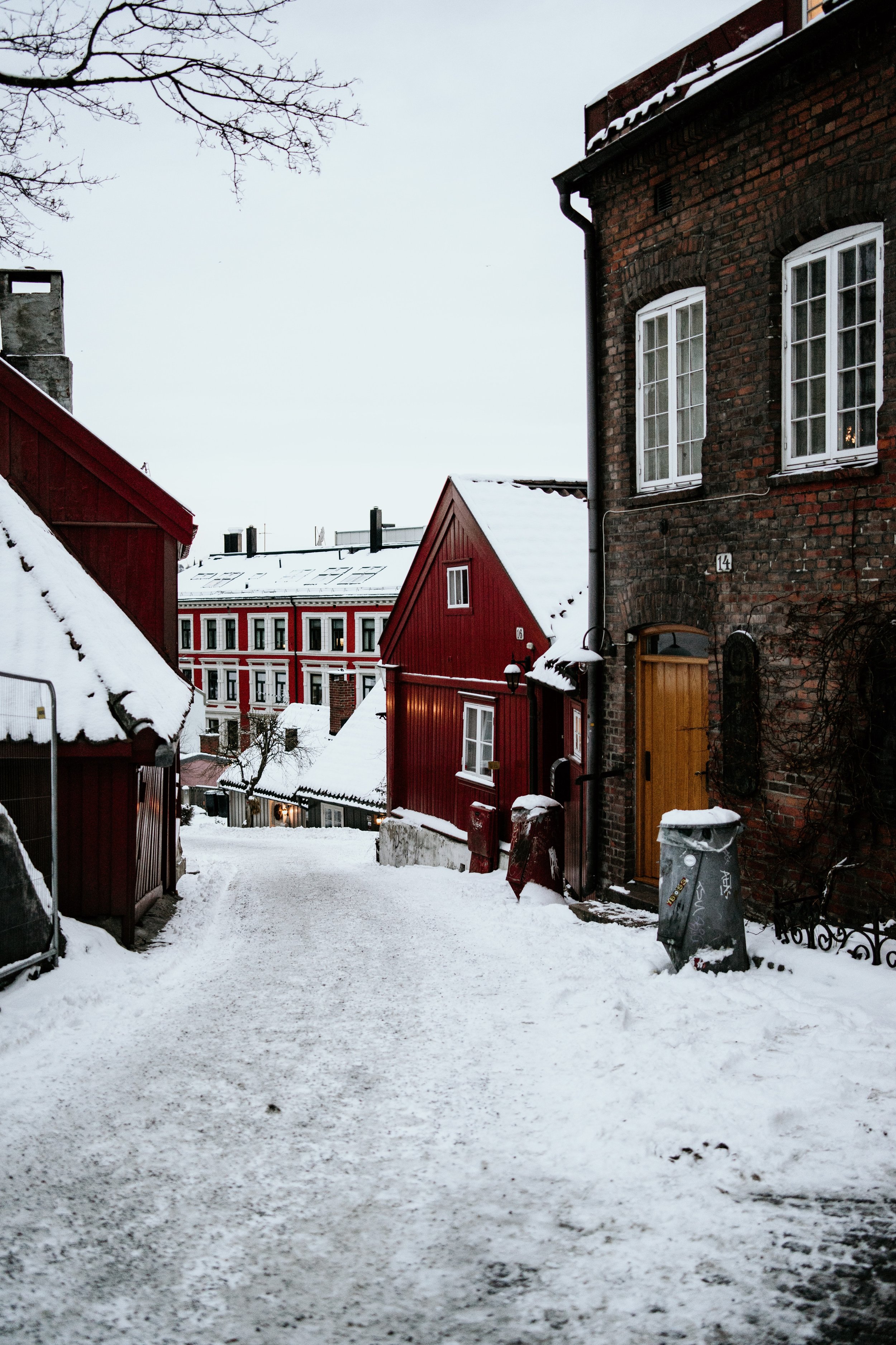 norway_oslo_damstredet_timo-stern-yDuf-KgoPE8-unsplash.jpg