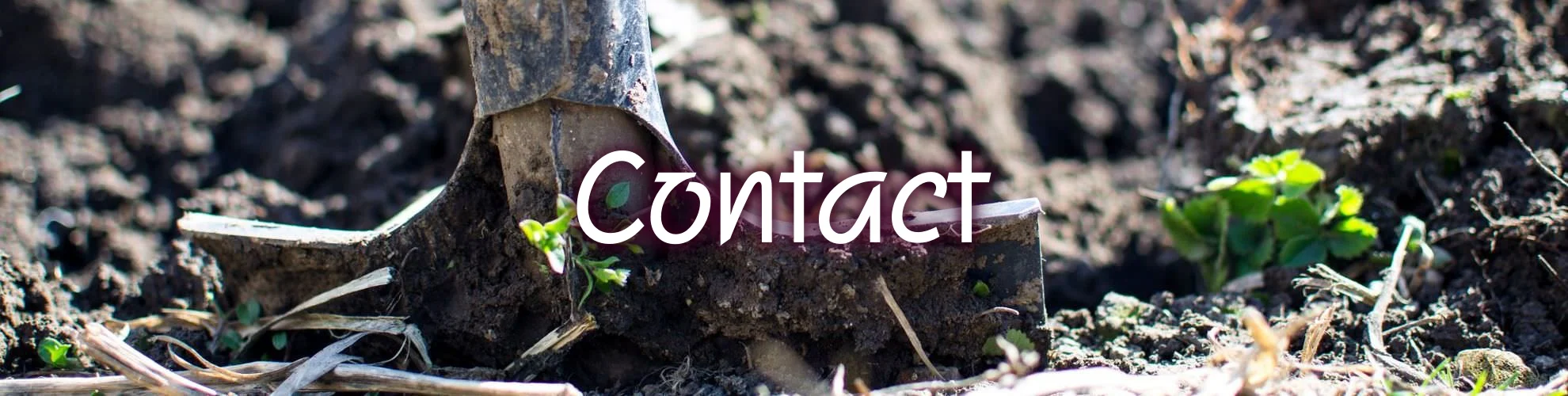 contact_mini-text.jpeg