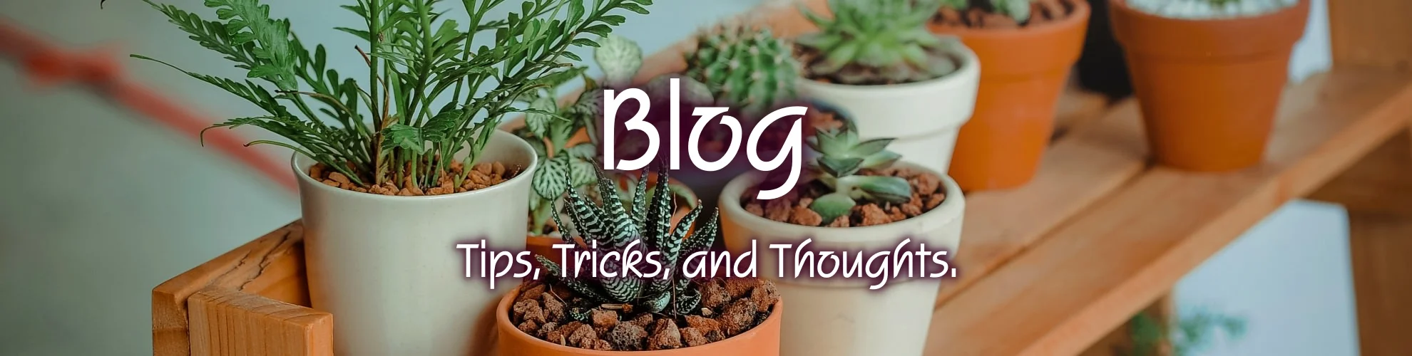 blog_mini-text.jpeg
