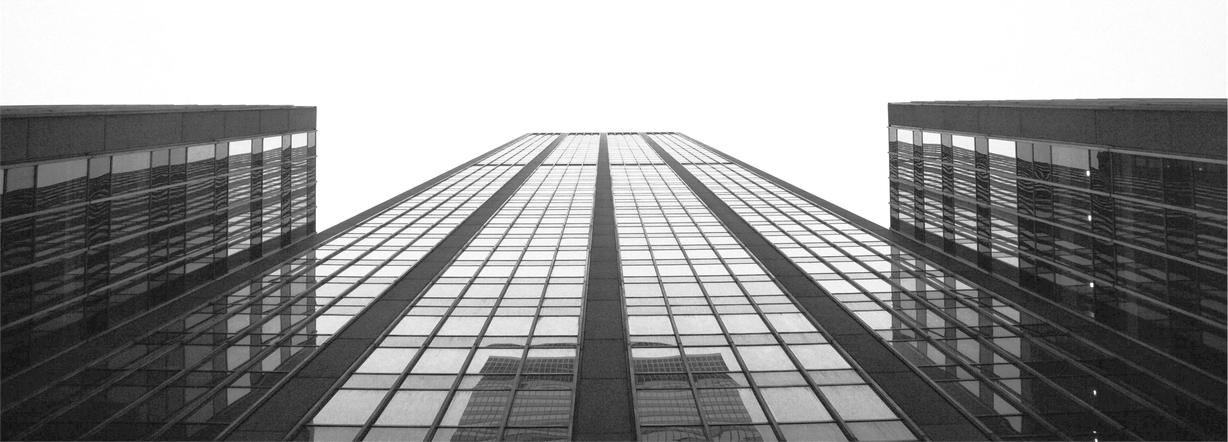 StockSnap_W6T0A7NDTF.ZW01jpg.jpg