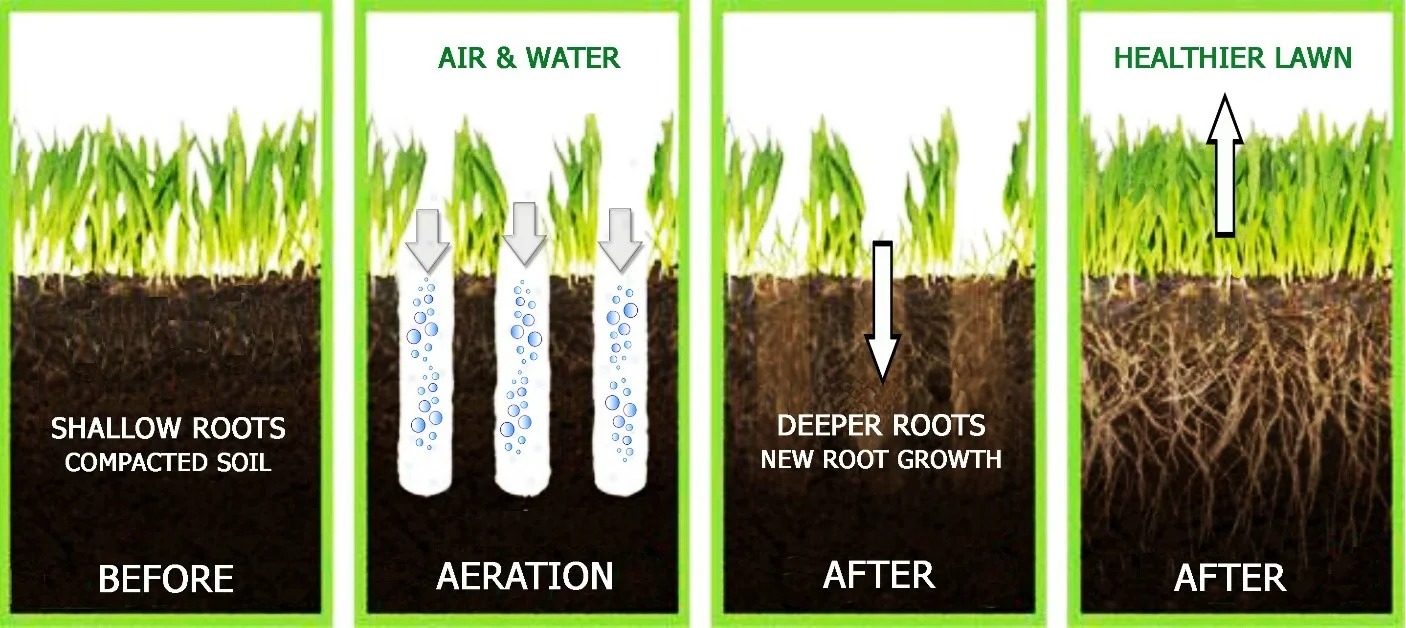 aeration.jpg