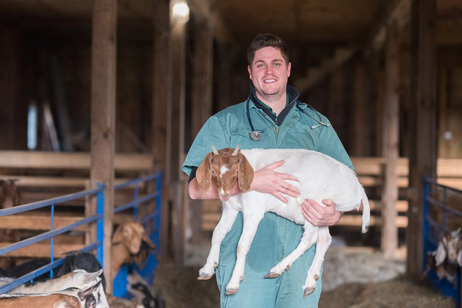 Goat-Vets-Ontario-1.jpg
