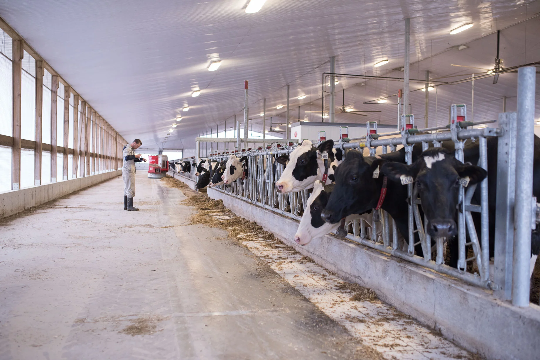 Rideau-Vet-Barn-Design-1.jpg