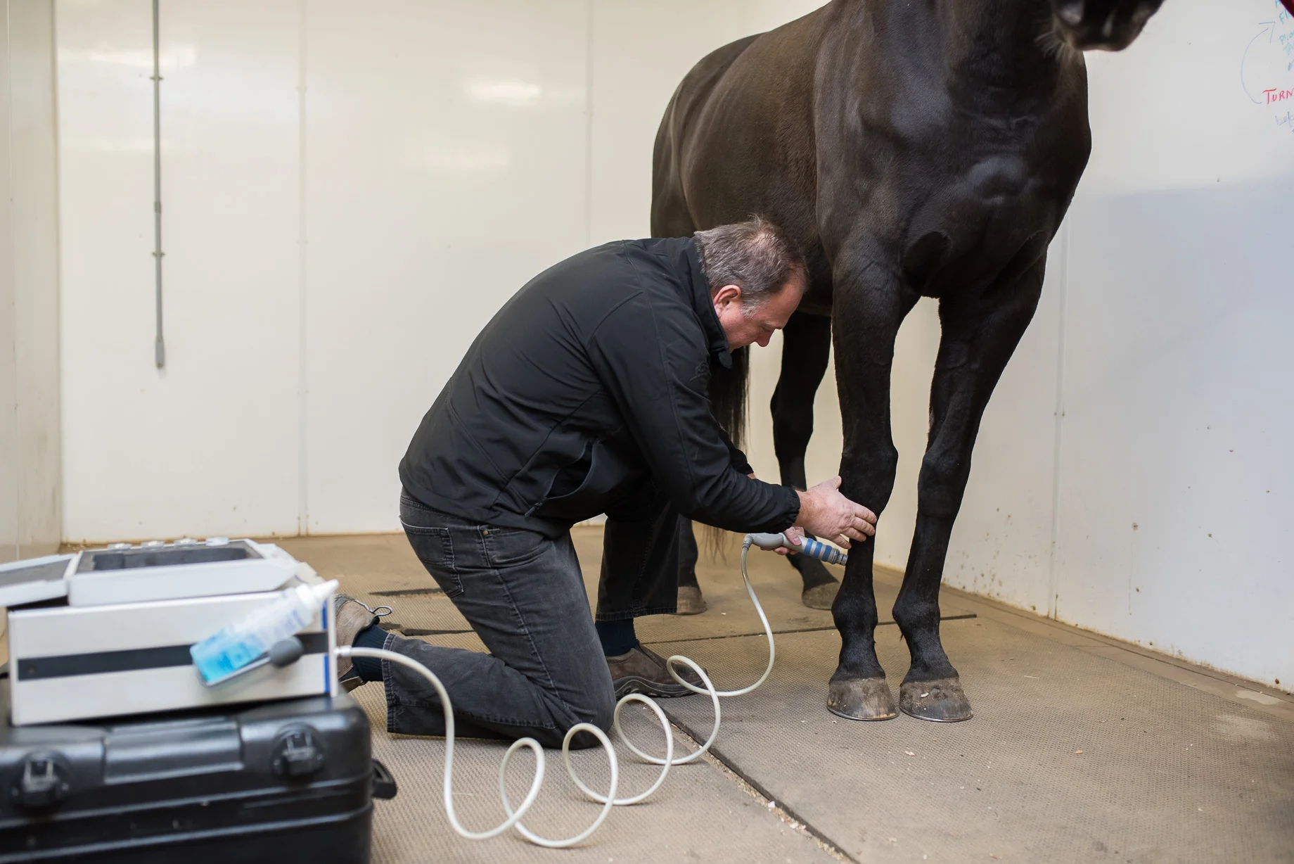 Rideau-Vet-Equine-Shockwave-1.jpg