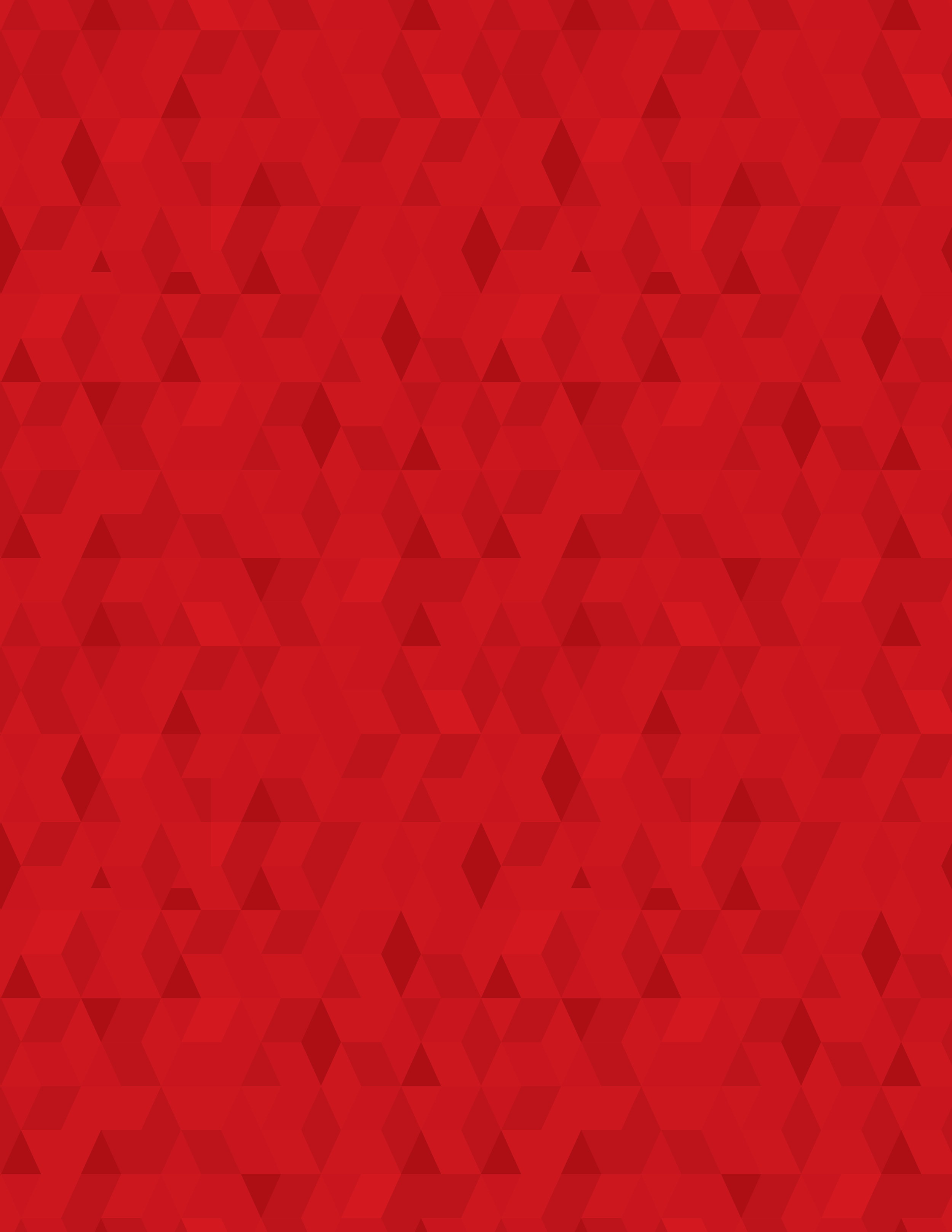 Fidem_Pattern_Red.png