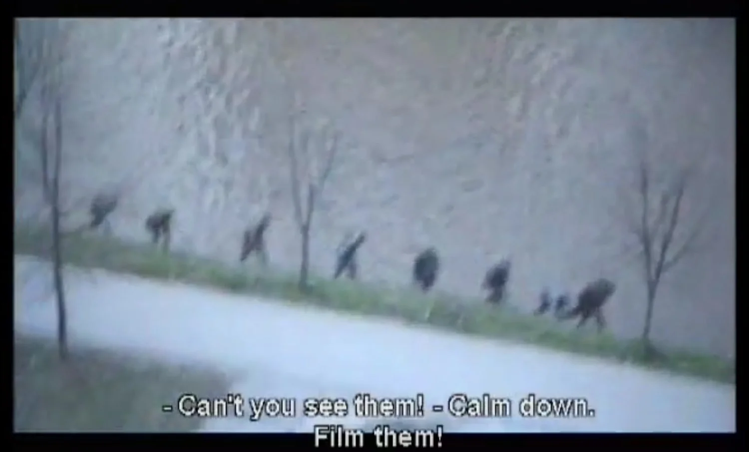 Courtesy of Nedim Alikadic &amp; the Library Hamdija Kresevljakovic