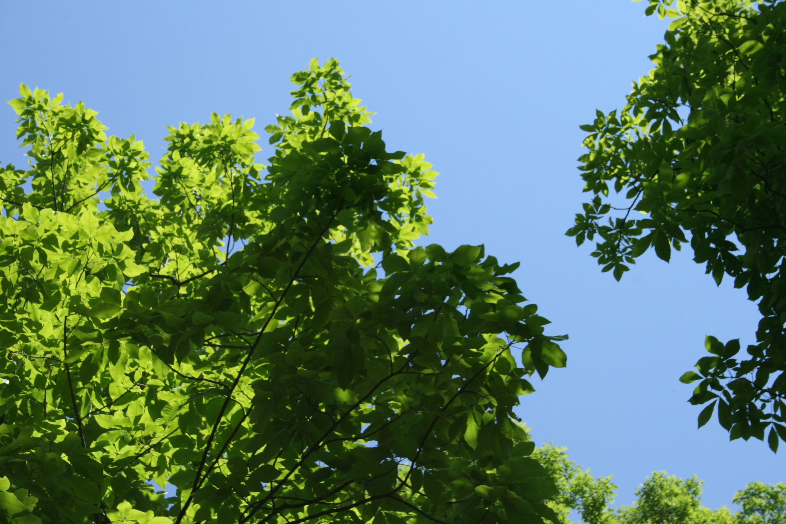 Now Accepting Applications for the 2022 Spring Conference!