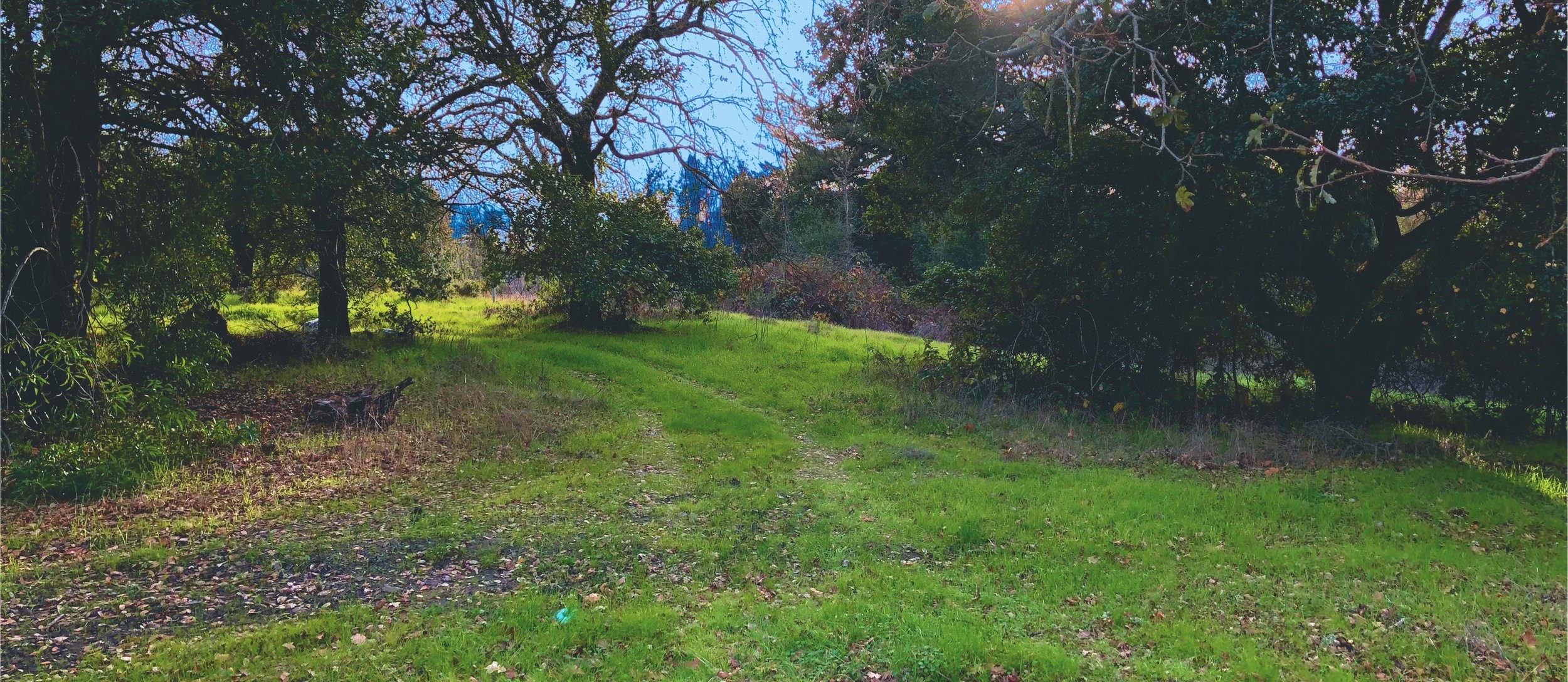 chanate_landscape_cropped_1_top_photo.jpg