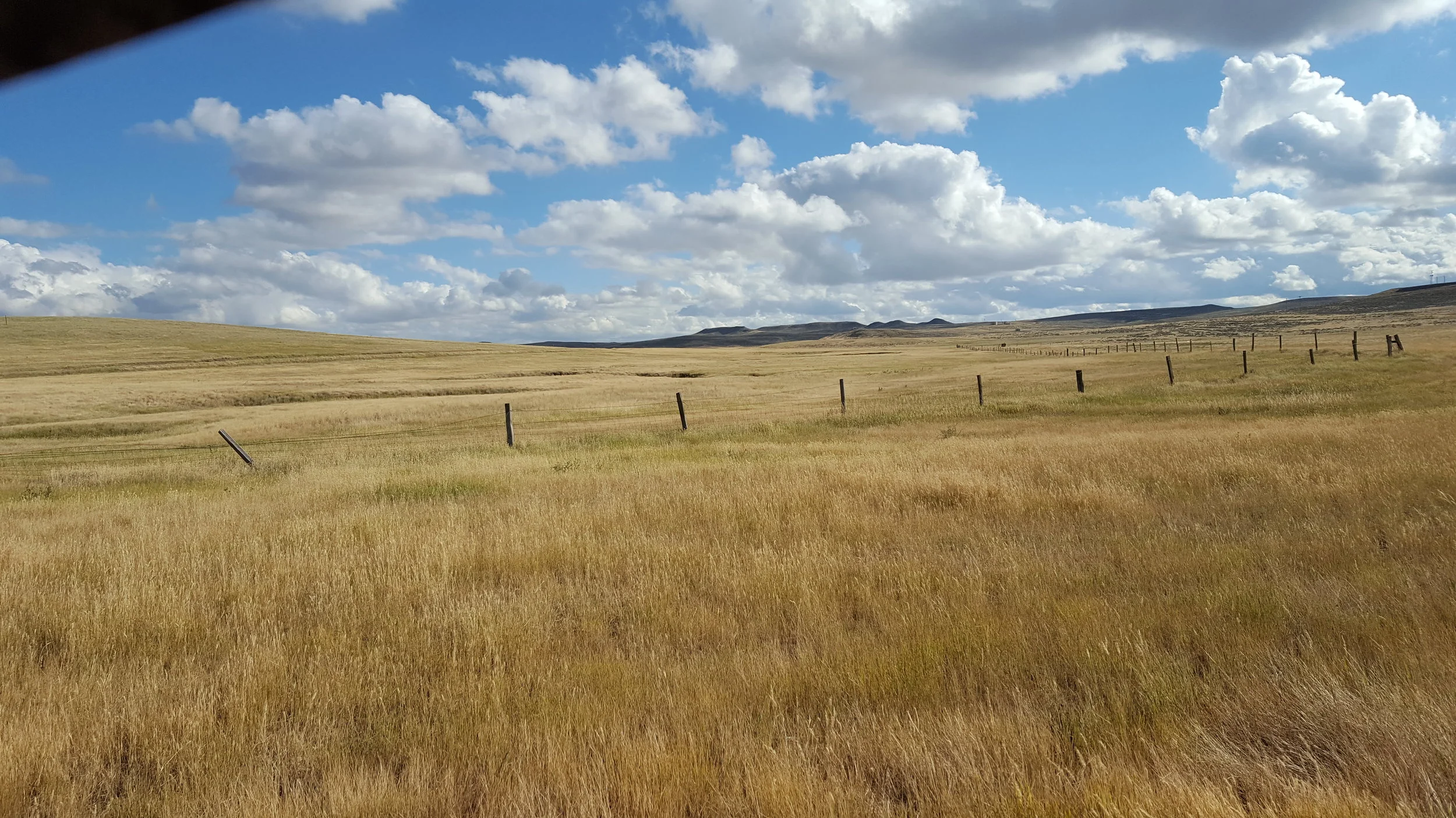 20160819_170756.jpg