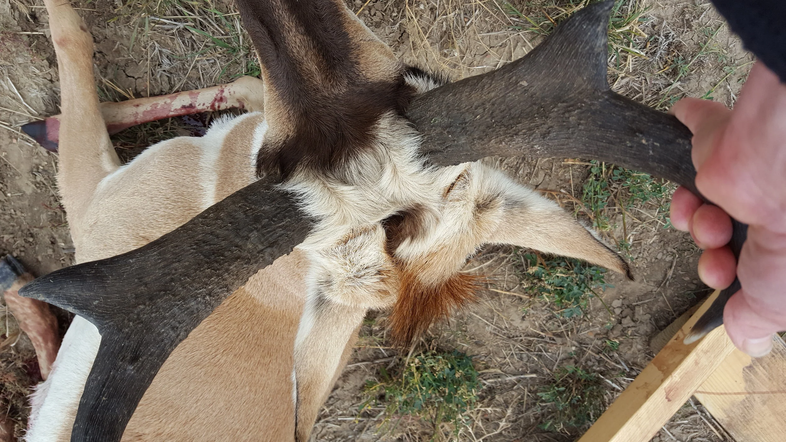 20160922_124423.jpg