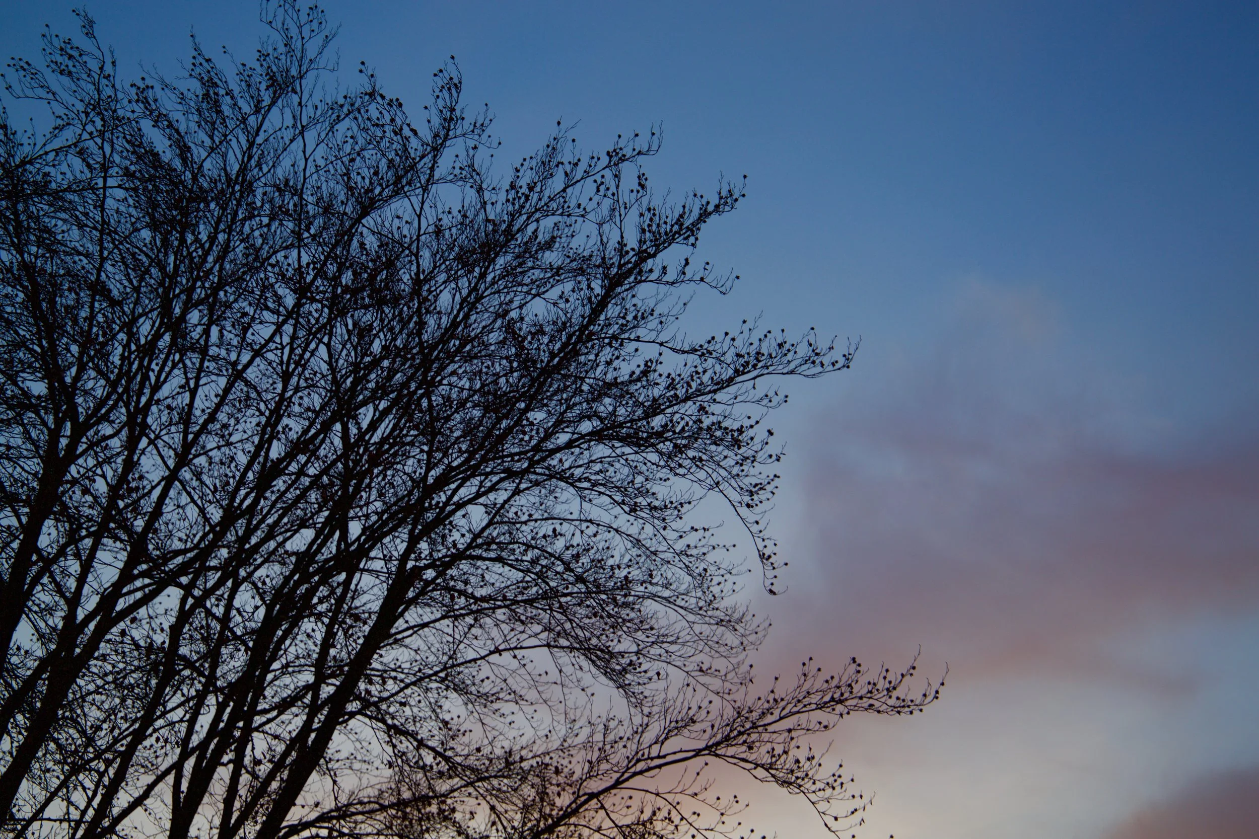 Untitled no. 10, 2016 (Sunset Series)