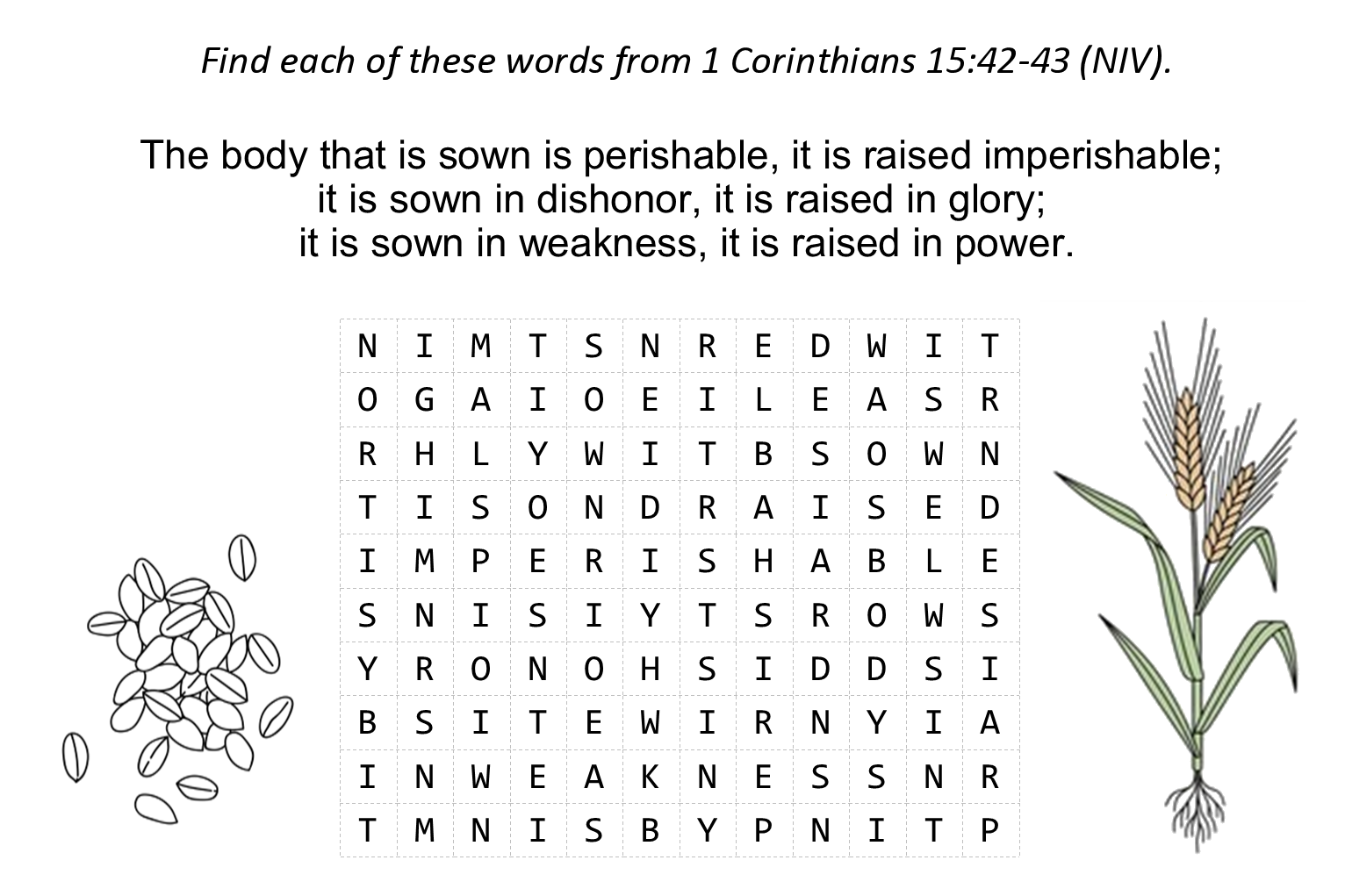 1 Corinthians 15:42 activity wordsearch puzzle