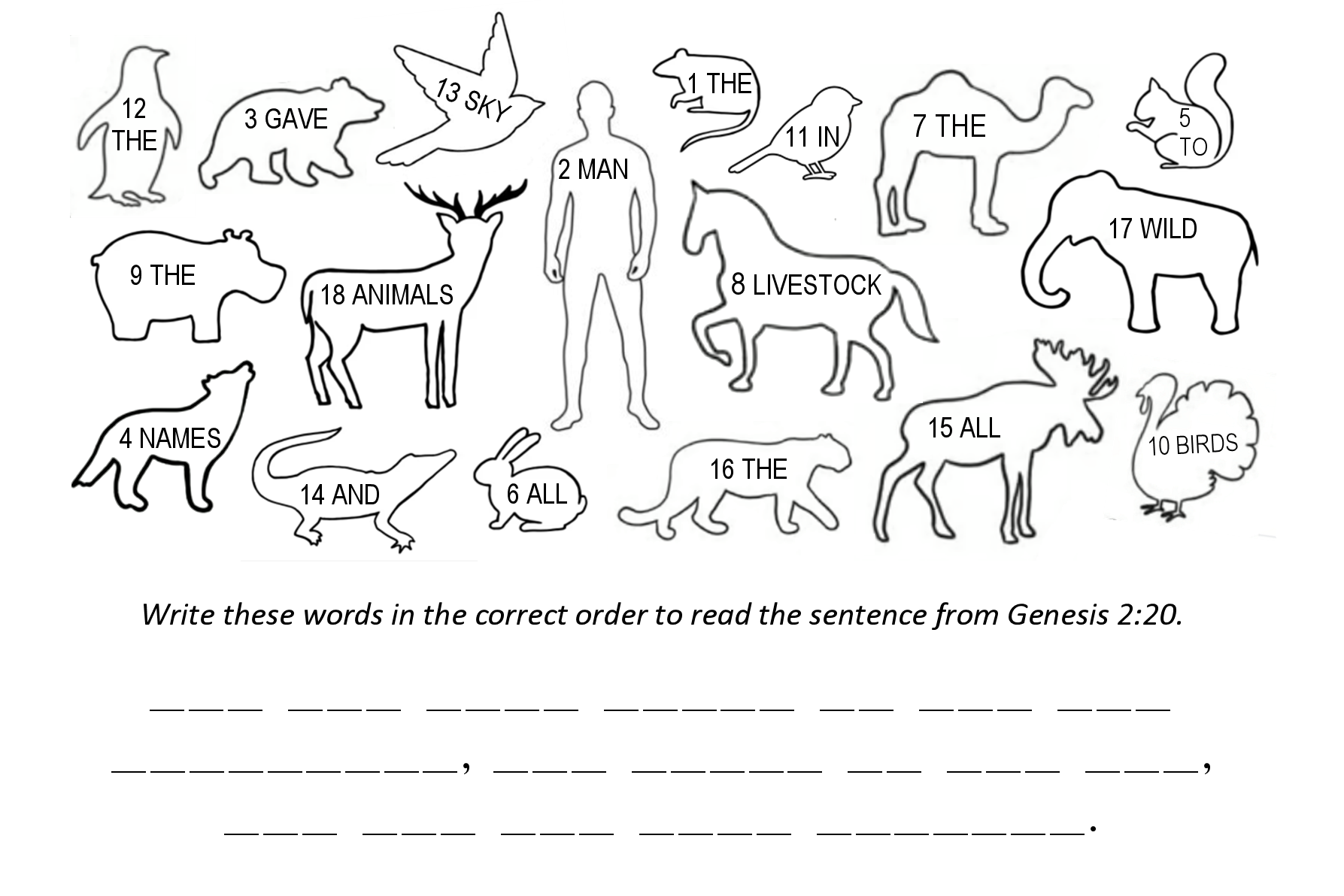 Genesis 2:20 Sunday school activity puzzle