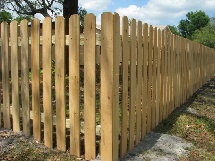 Dog ear fence clearance ideas