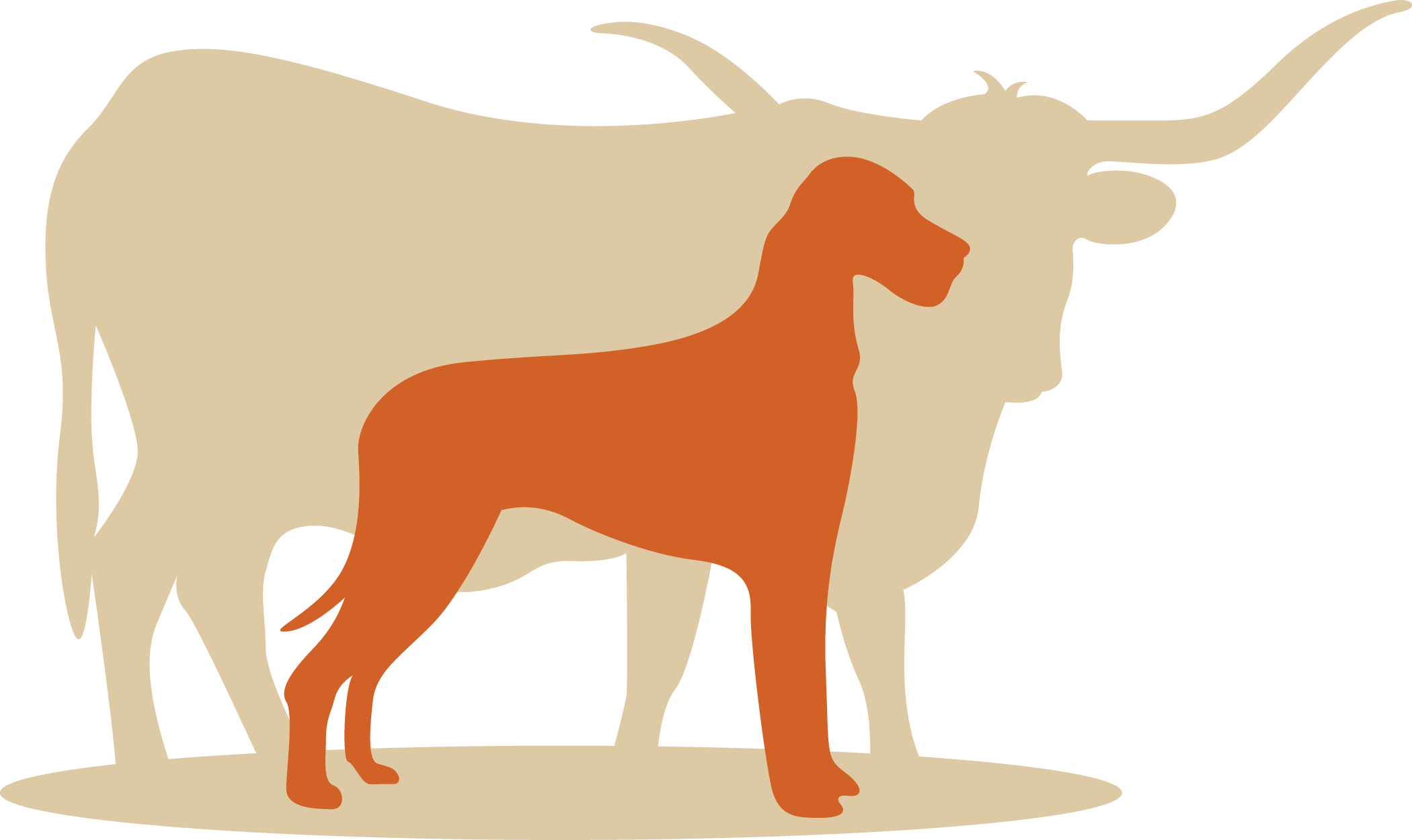 longhorn-dog-boarding-training